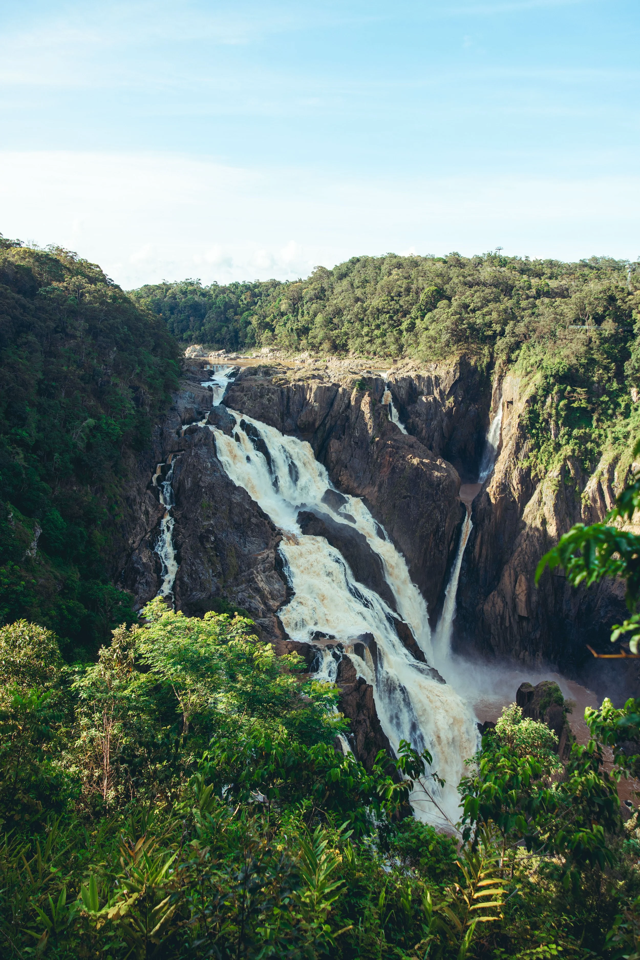 Tag 97: Palm Cove &amp; Kuranda
