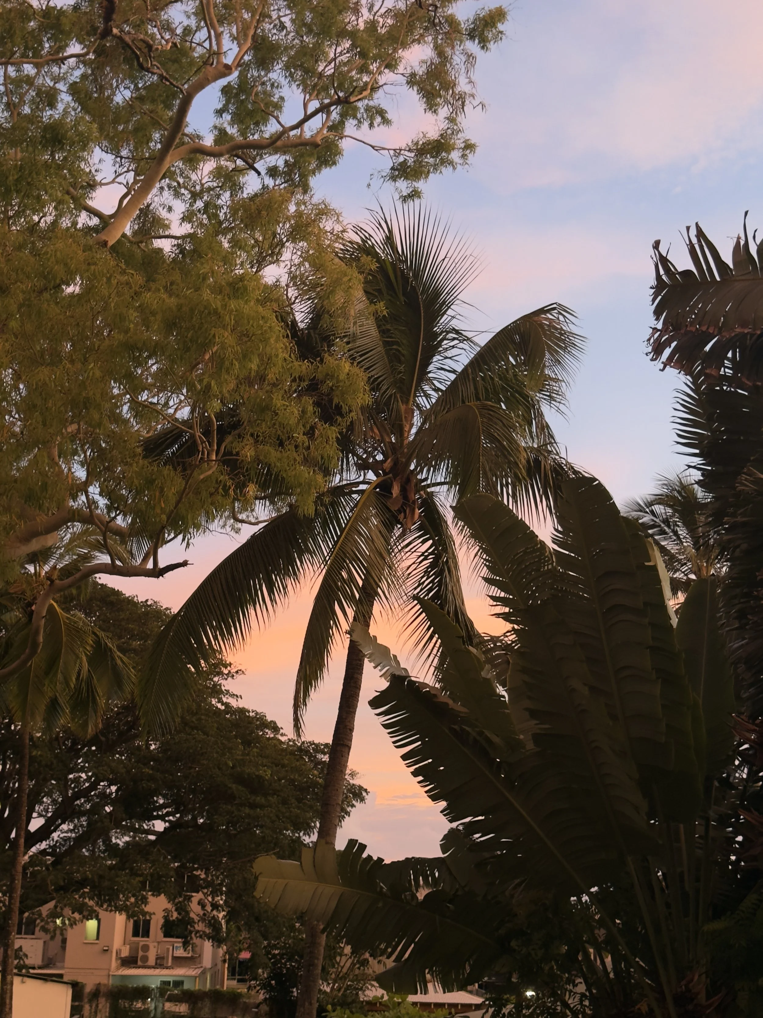 Tag 113: Airlie Beach