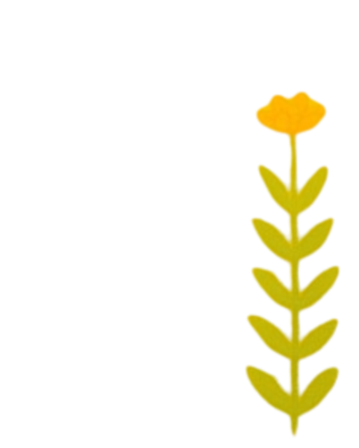 Yellow flower with green leaves on a black background.