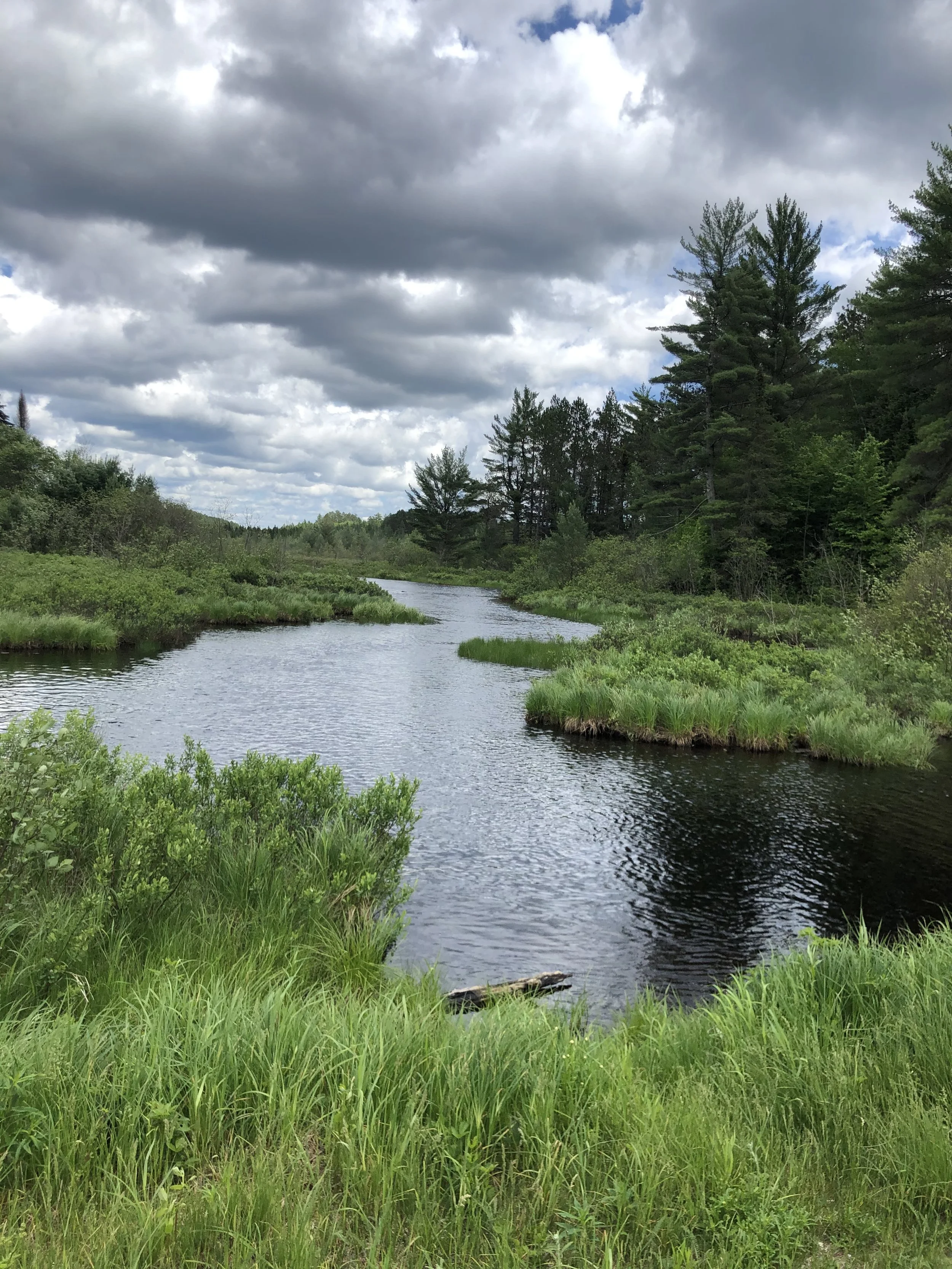 Mindset Equals Success