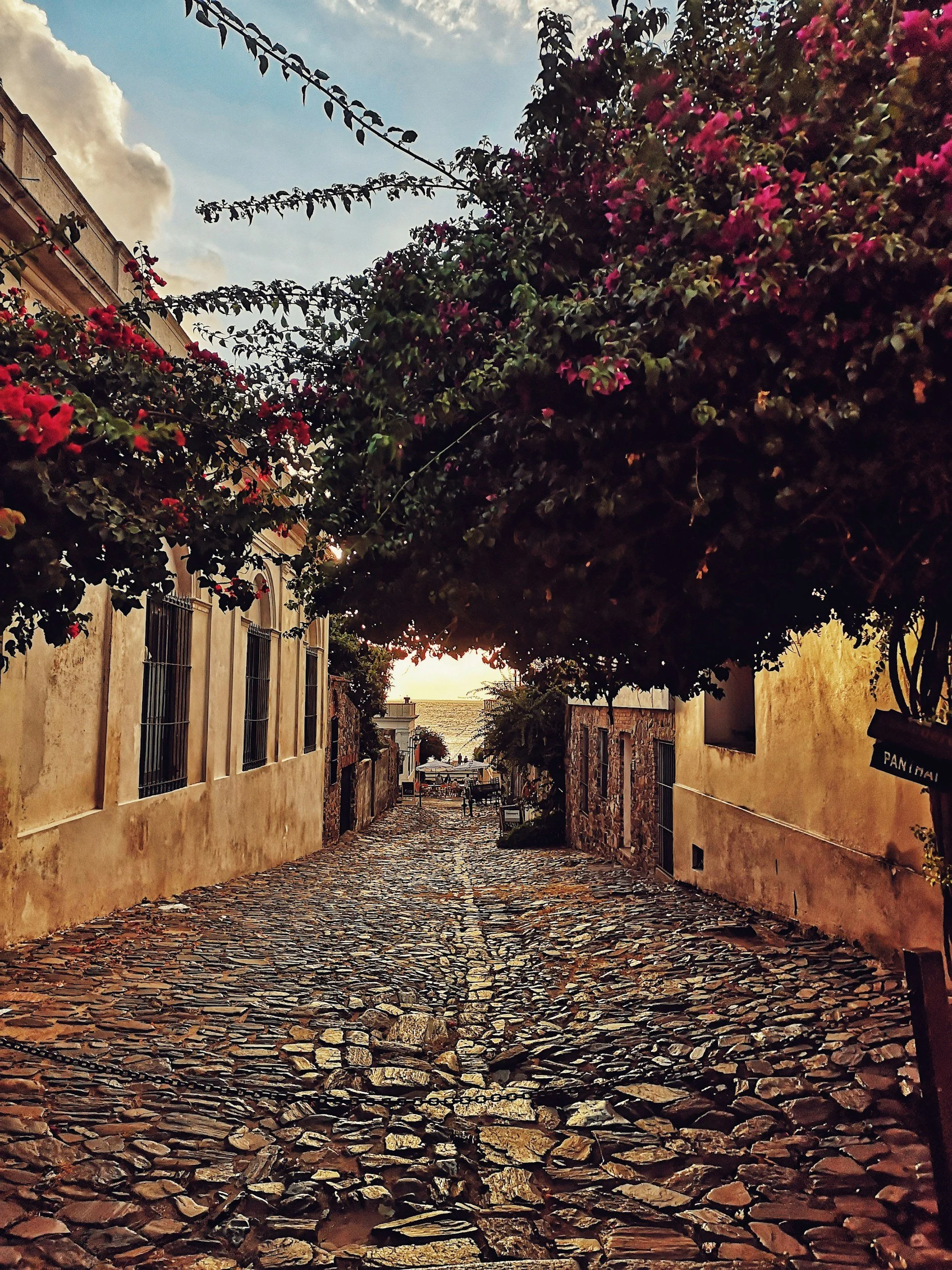 A cobblestone street flanked by old buildings with barred windows and flowering trees overhead, leading to a view of water and sky in the distance.