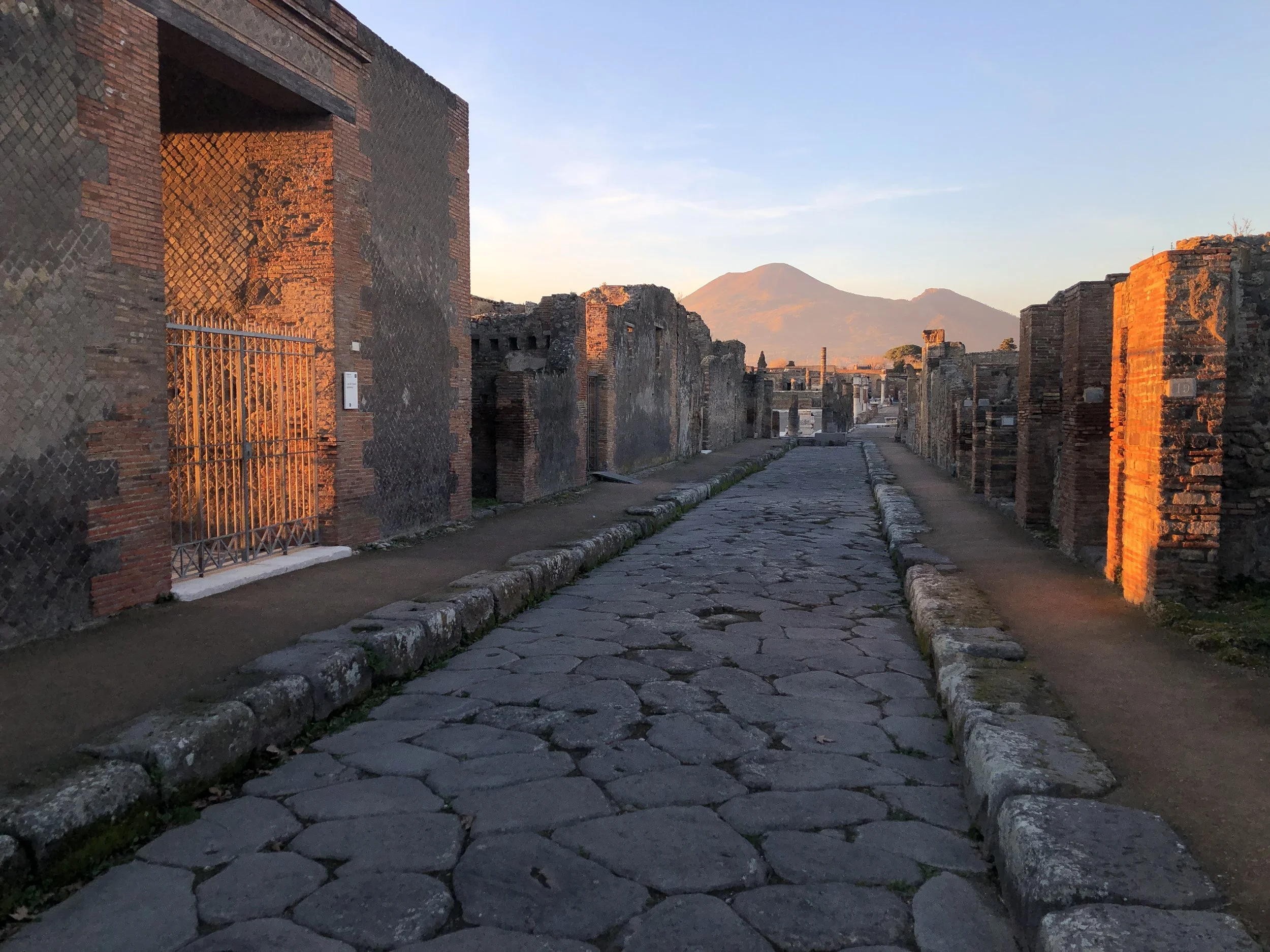  Excavating at Pompeii: An Archeologist’s Career in Ruins