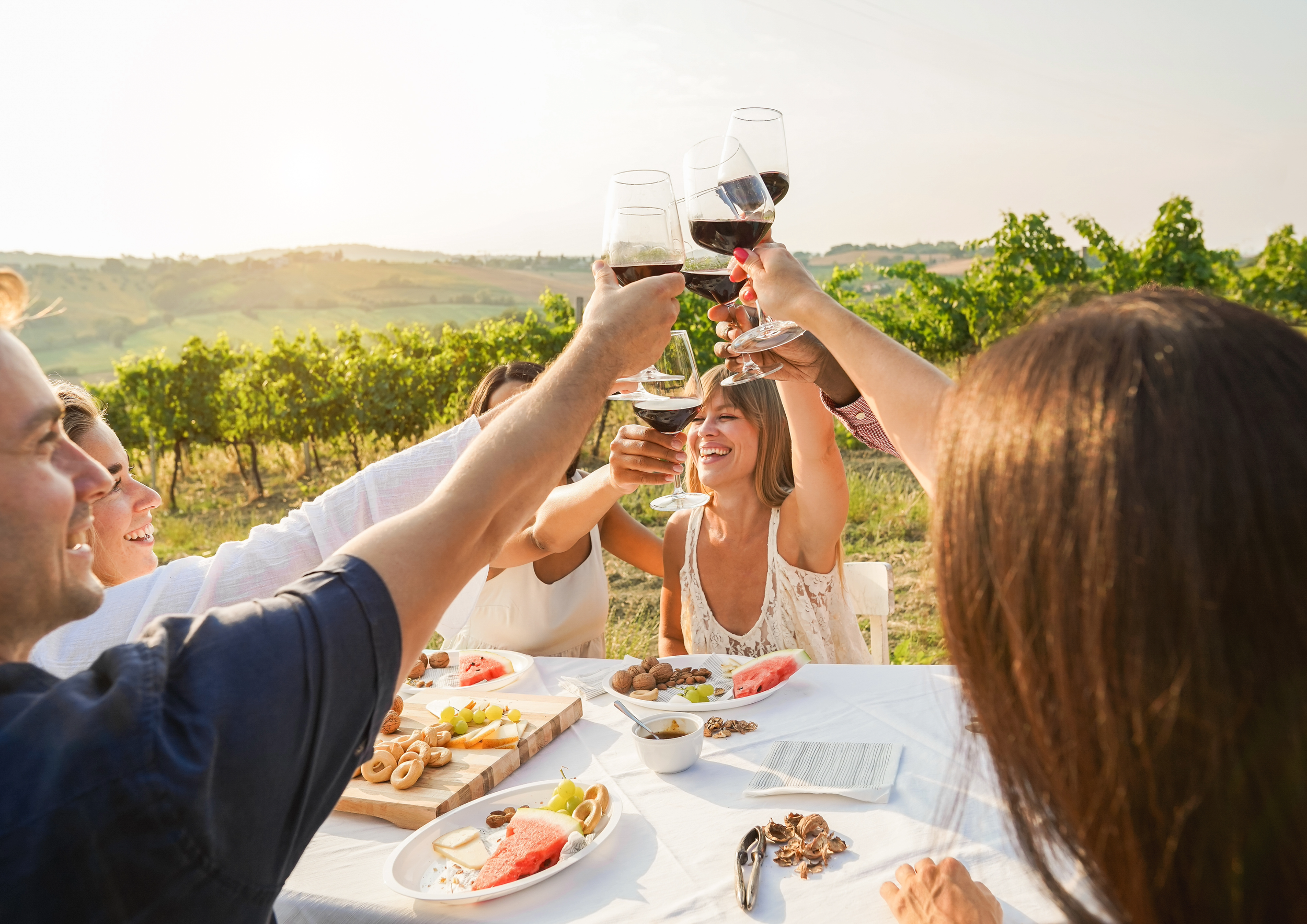 A group of people raising wine glasses in a toast outdoors at a vineyard, with a table full of food and a scenic landscape in the background.