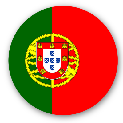 Flag of Portugal with green, red, and a detailed coat of arms in the center.