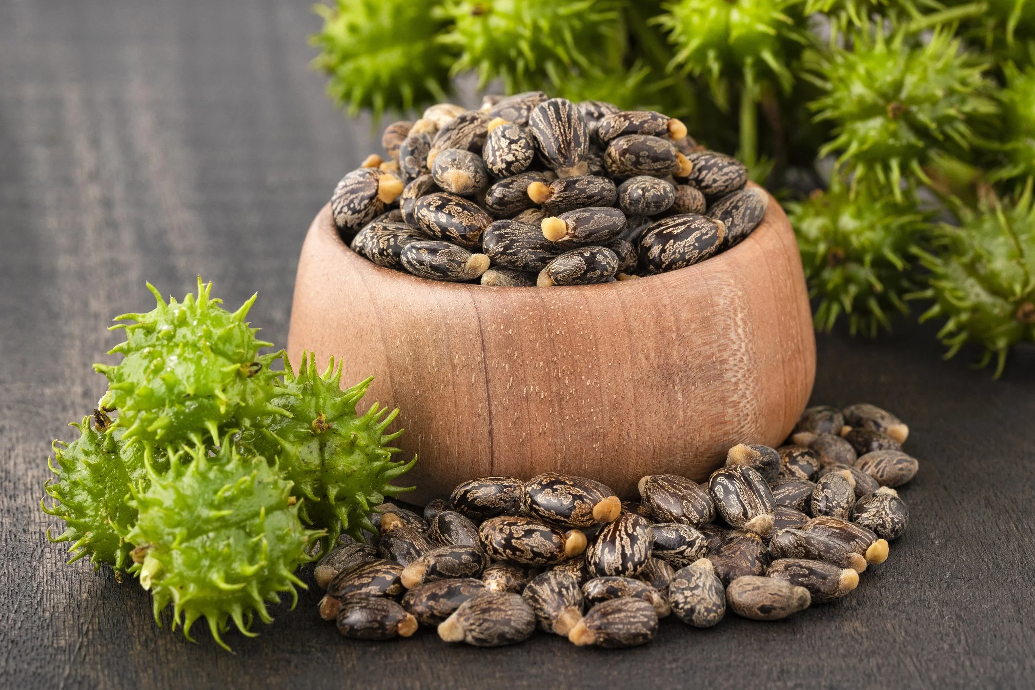 A wooden bowl filled with black seeds with beige markings, surrounded by green spiky seed casings, on a black surface with green plants in the background.