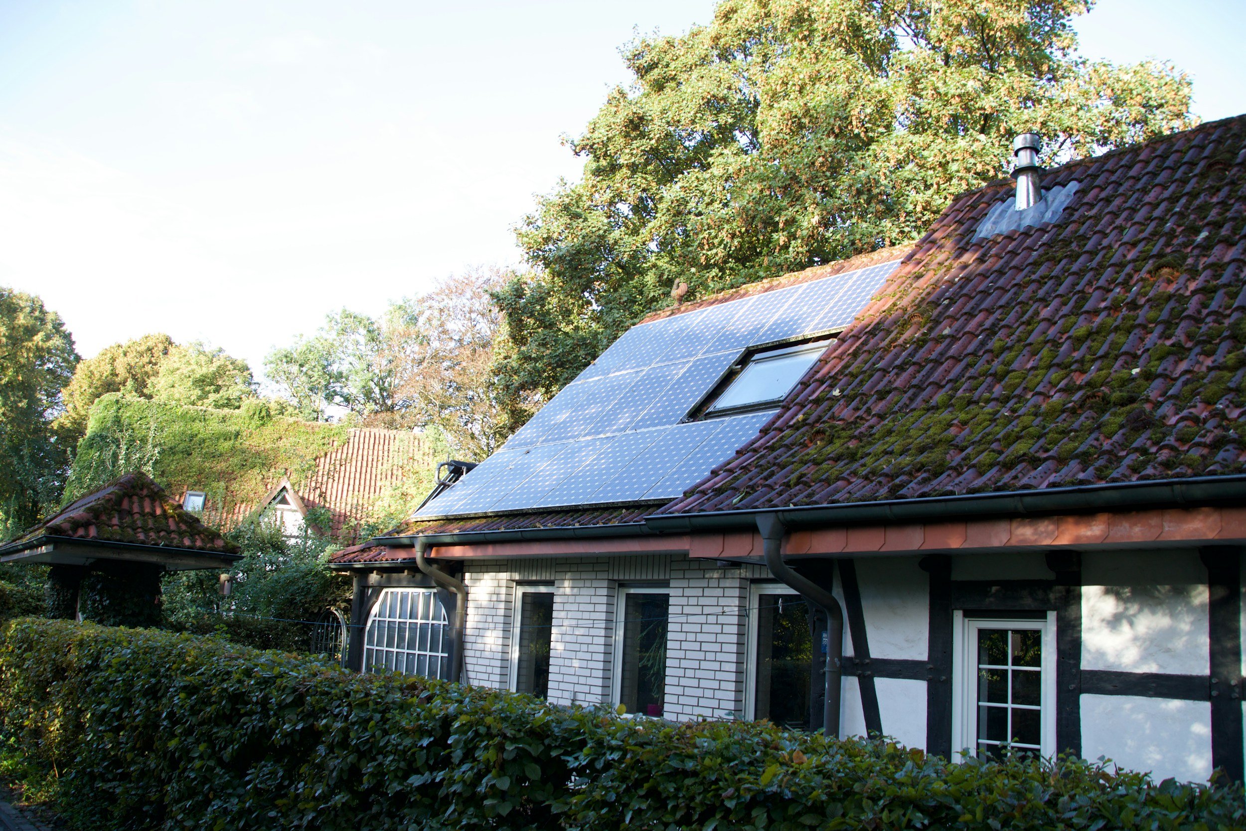 how much can solar panels save you in the uk