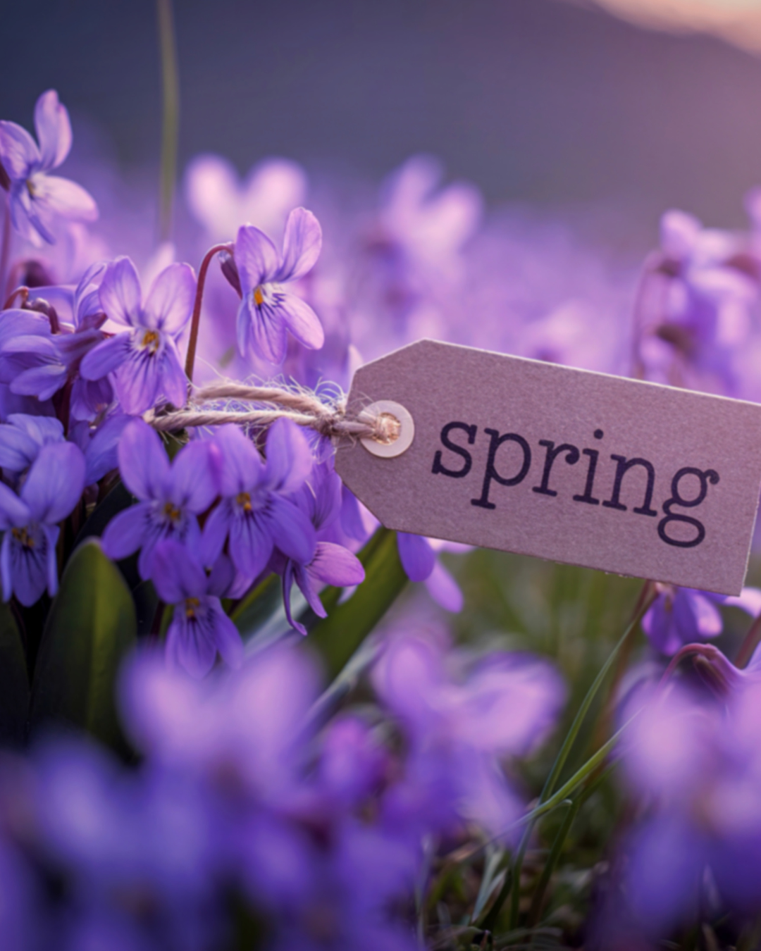 Spring Equinox: A Season of Balance, Renewal, and Becoming
