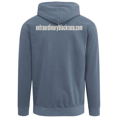 DynamicImageHandler.ashx