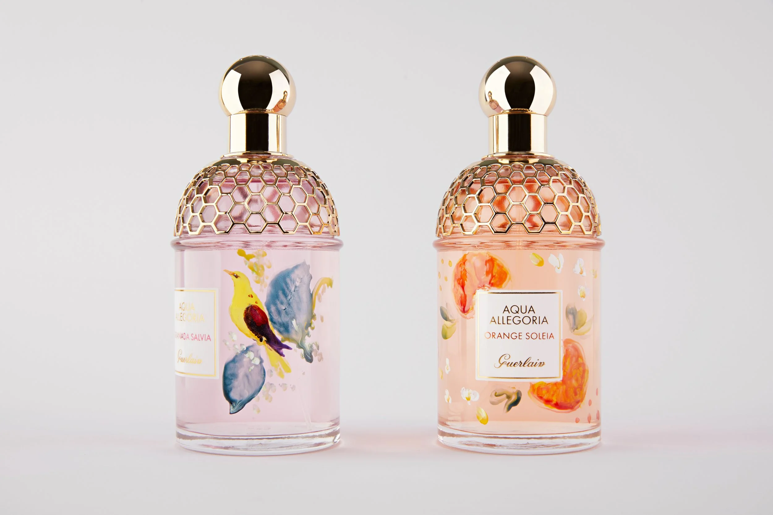 Aqua Allegoria on white.jpg