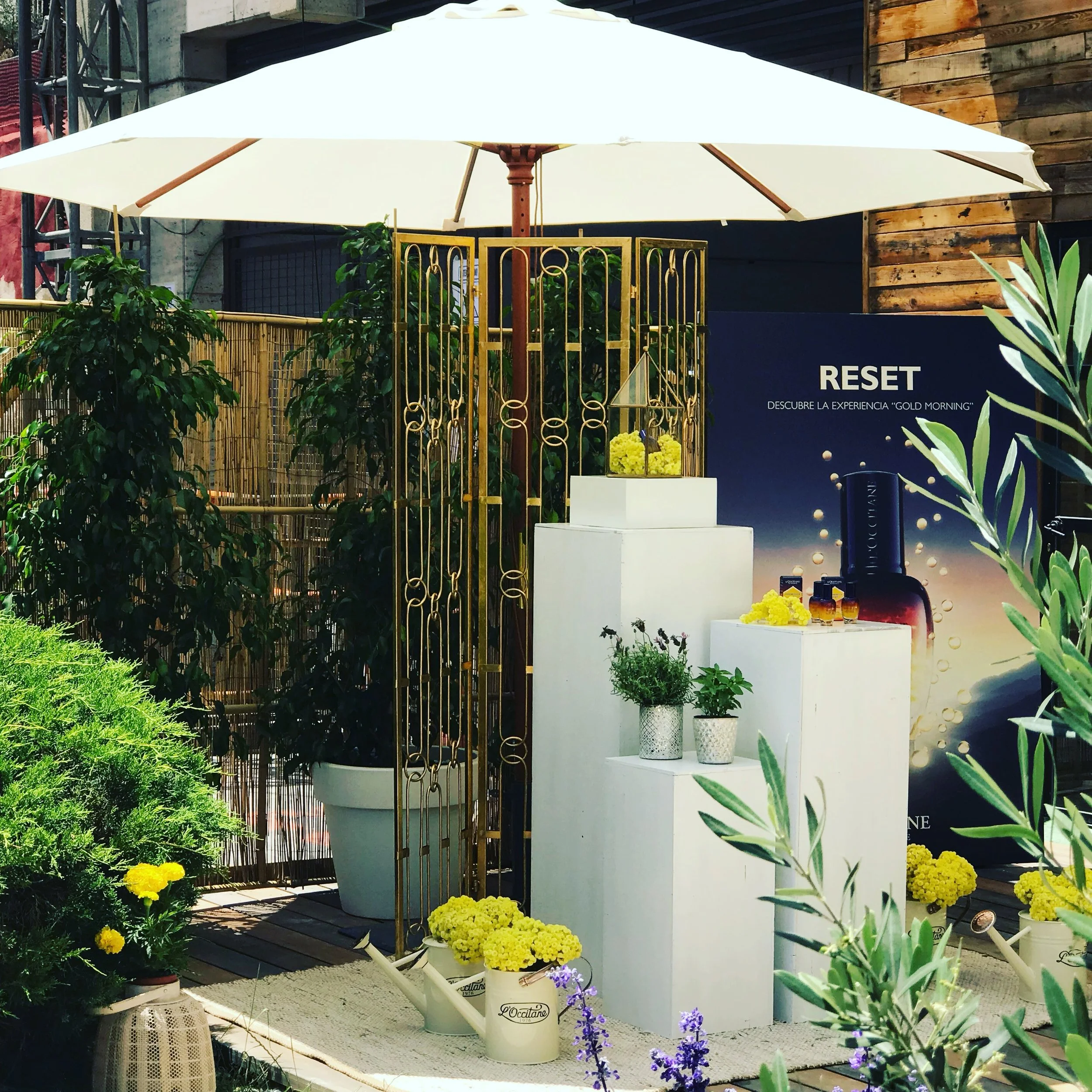 Retail Floral Display.JPG