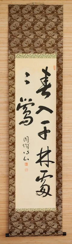 entering spring forest