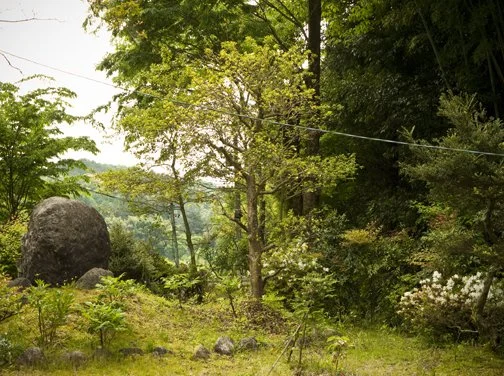 garden with big stone1000038.jpg