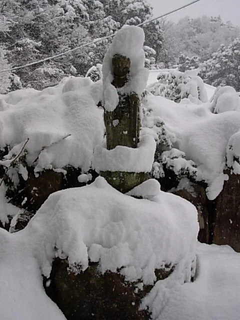 snowDSCN0267.jpg