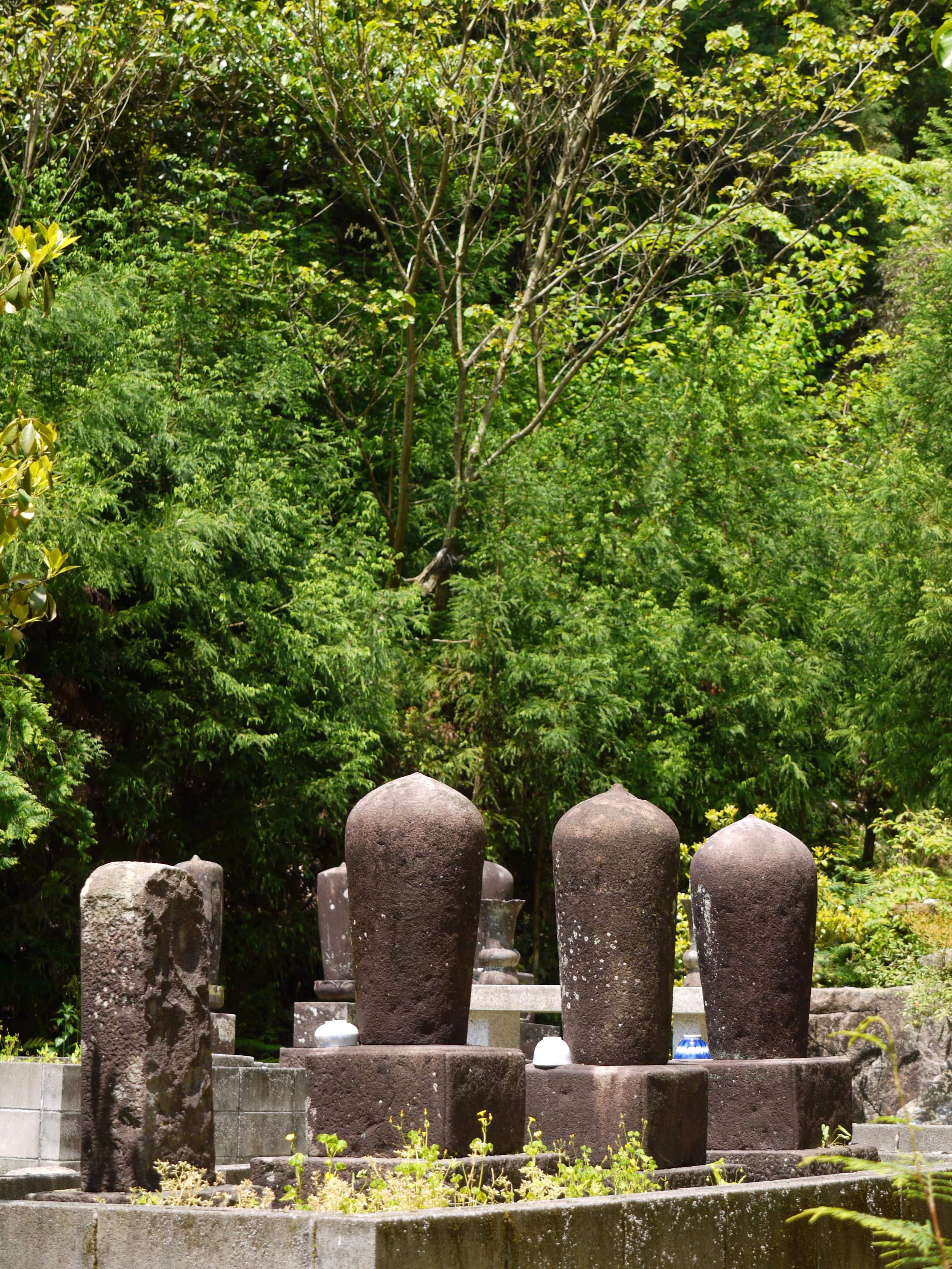 graveyardP1000142.jpg