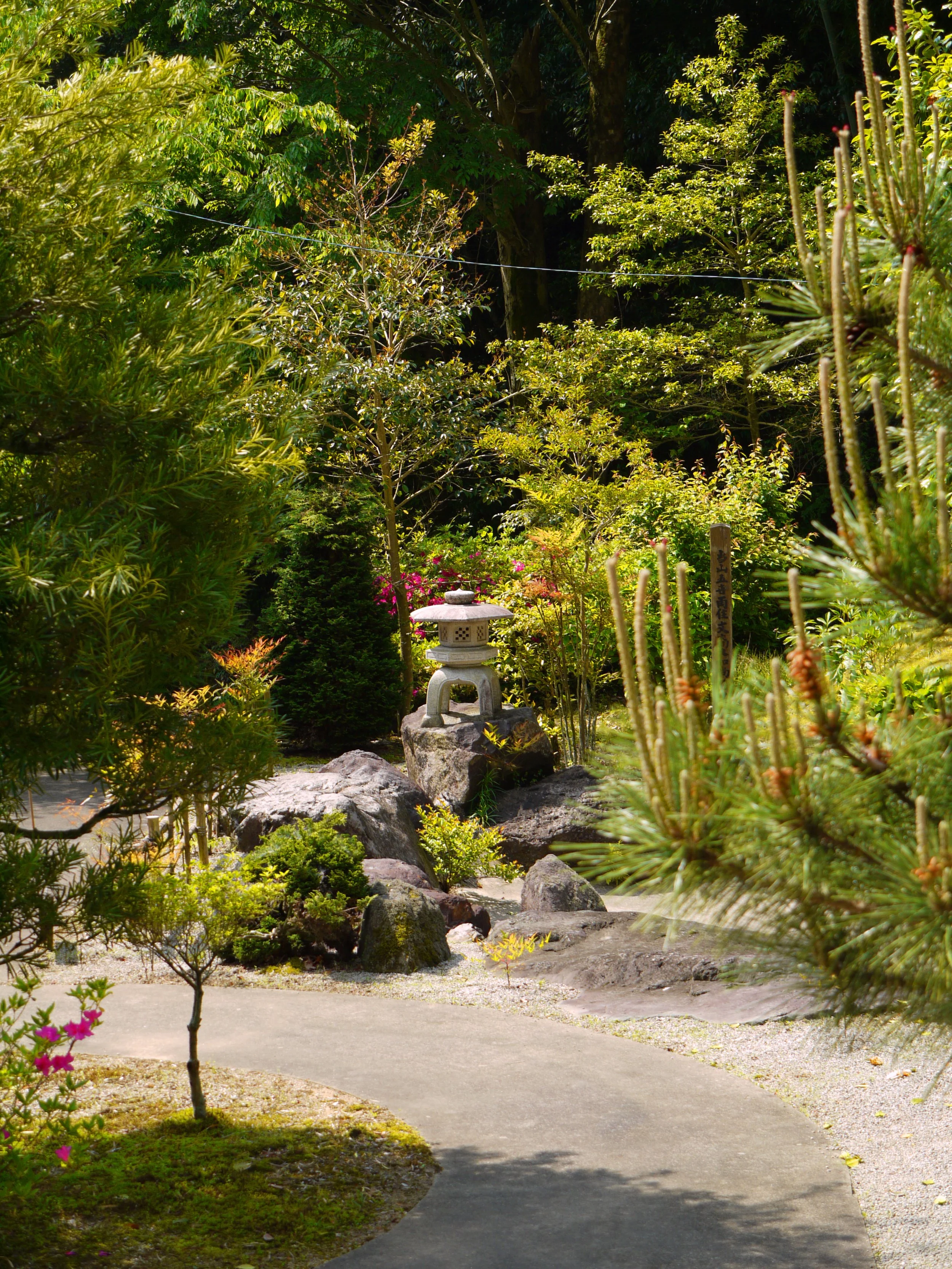 gardenP1000139.jpg