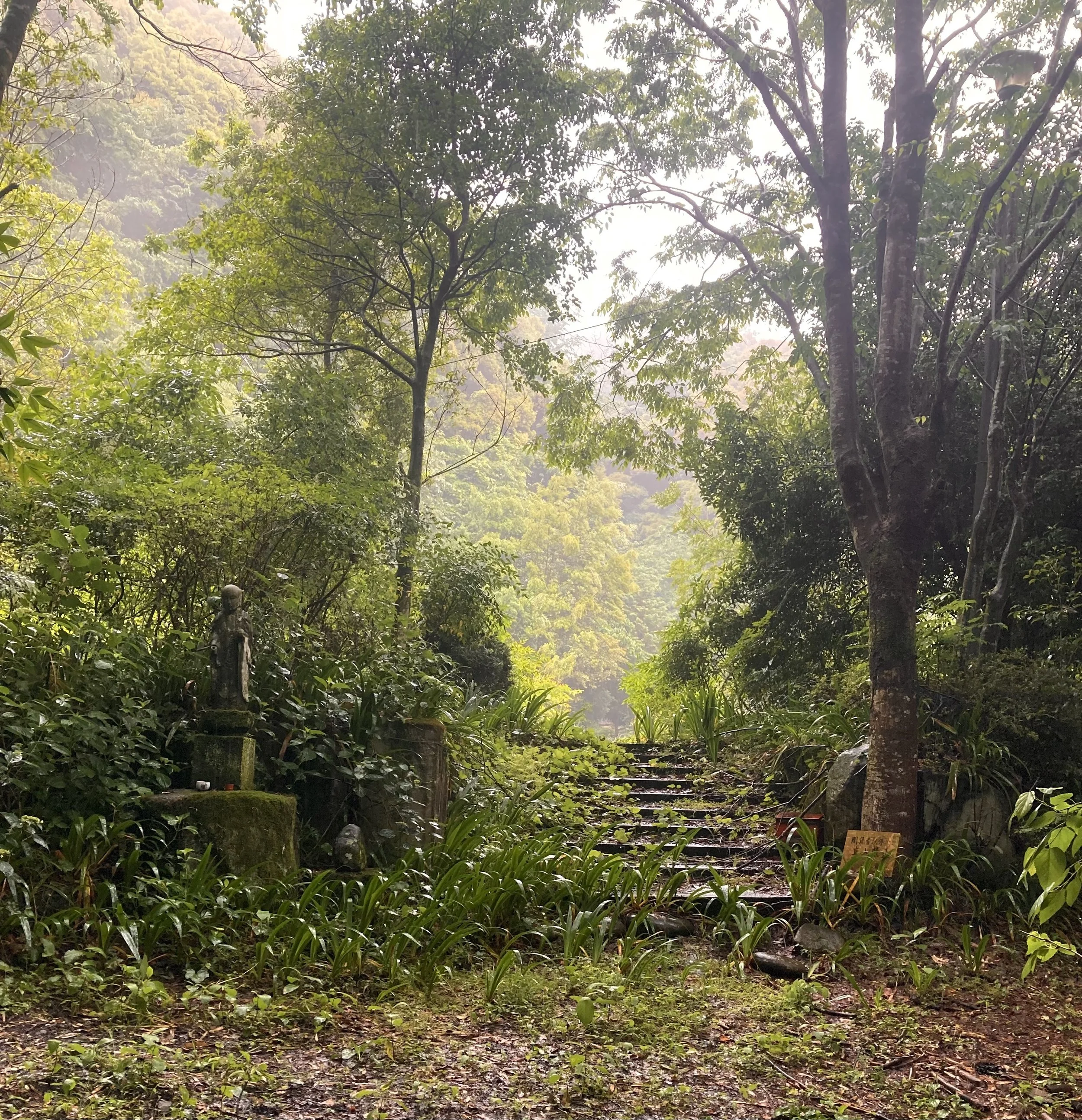 Gyokuryuji entrance after it had been demolished May 2024