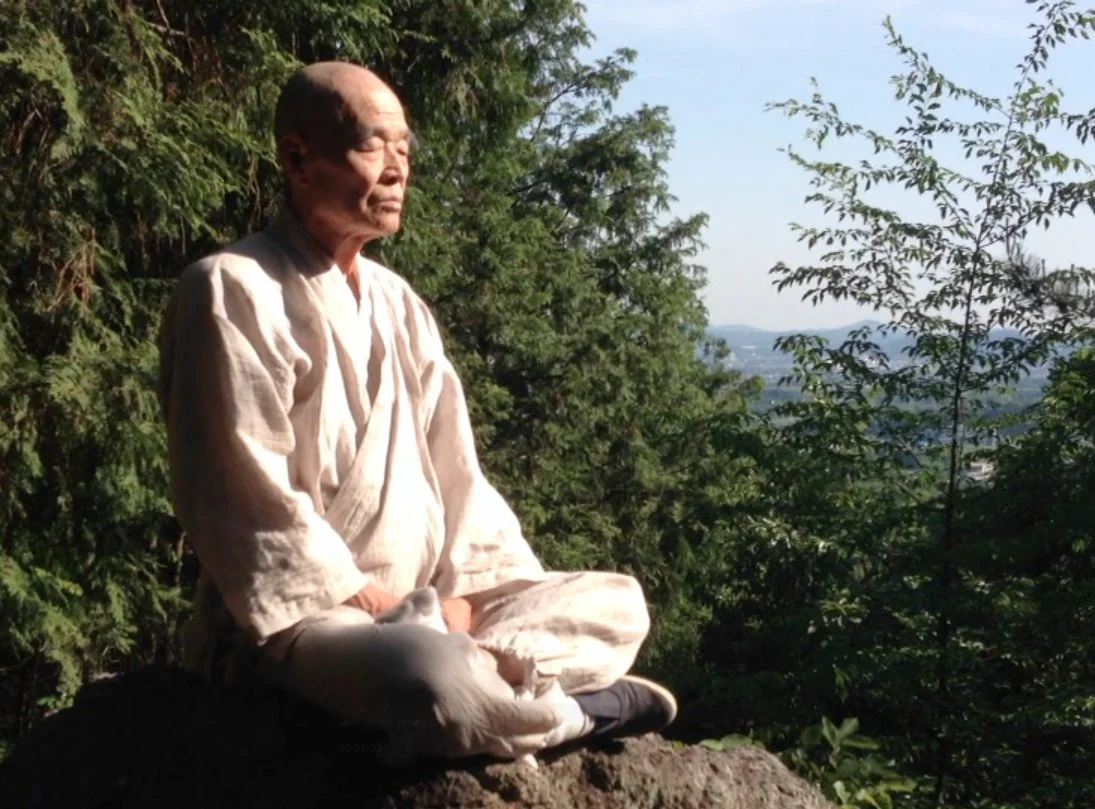 Shinzan sitting on Hakuin's rock on Iwatakisan, Gifu, Japan
