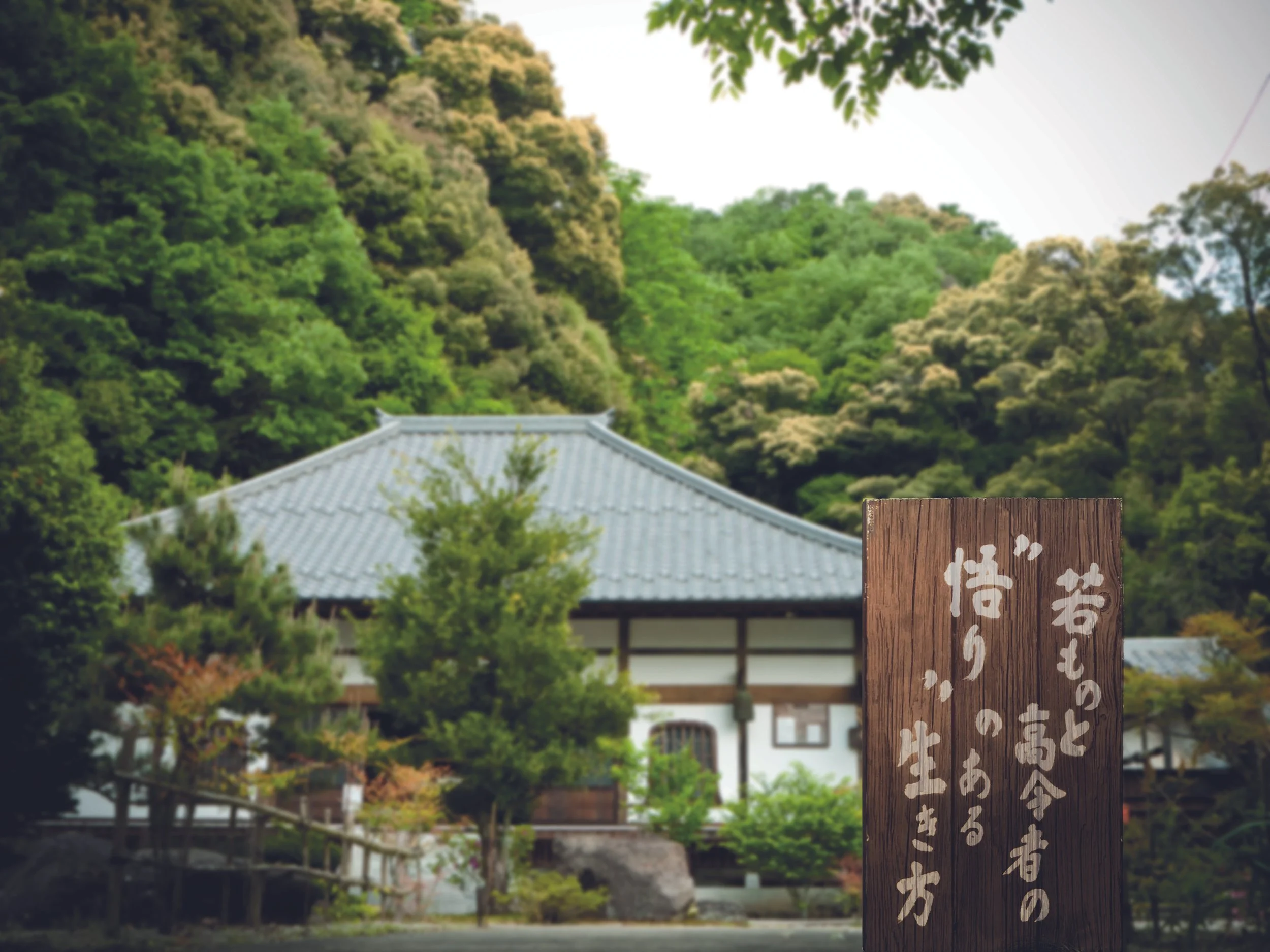 Gyokuryuji with sign saying "satori training place for young and old"