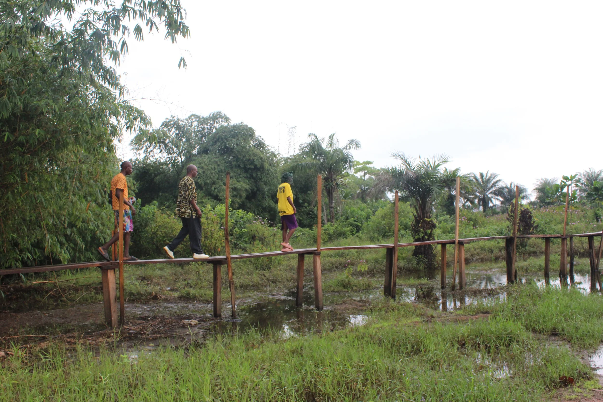 Winding Footbridge 4.JPG