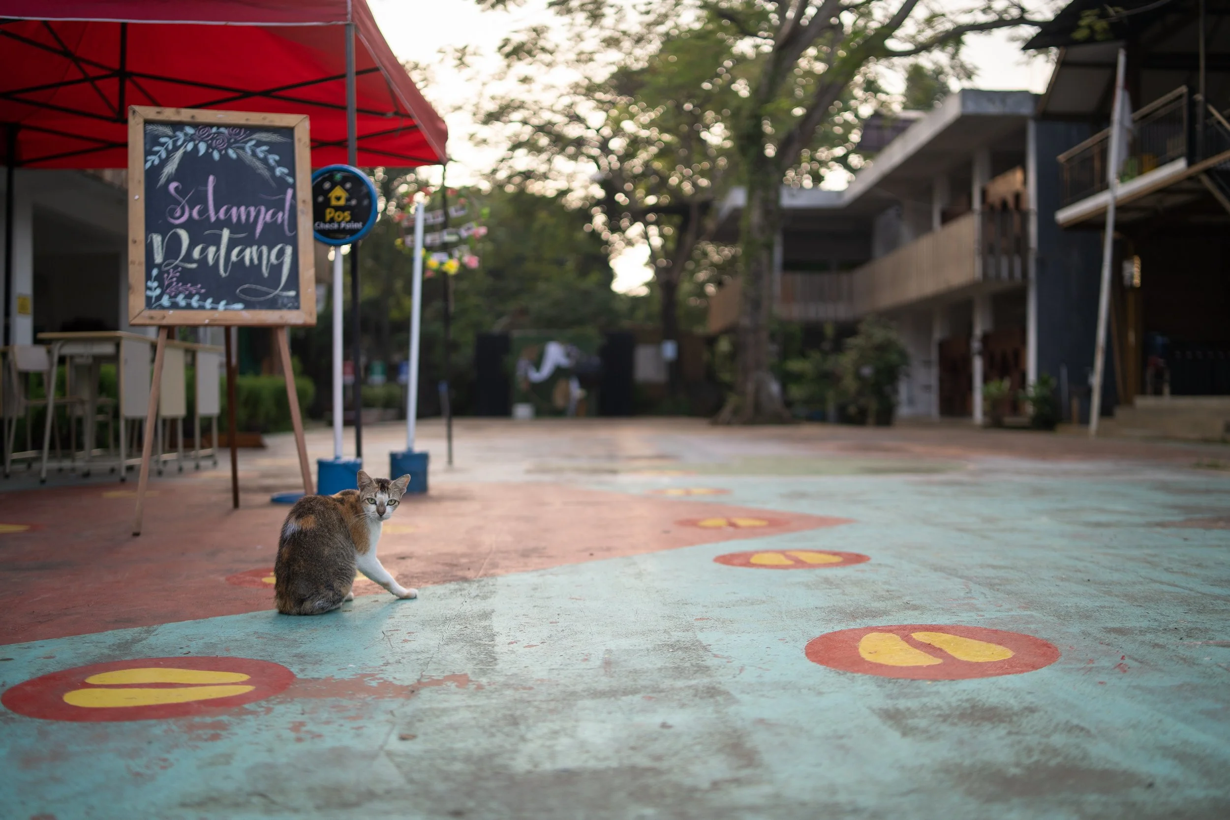 Wisuda Salam Bogor-3.jpg