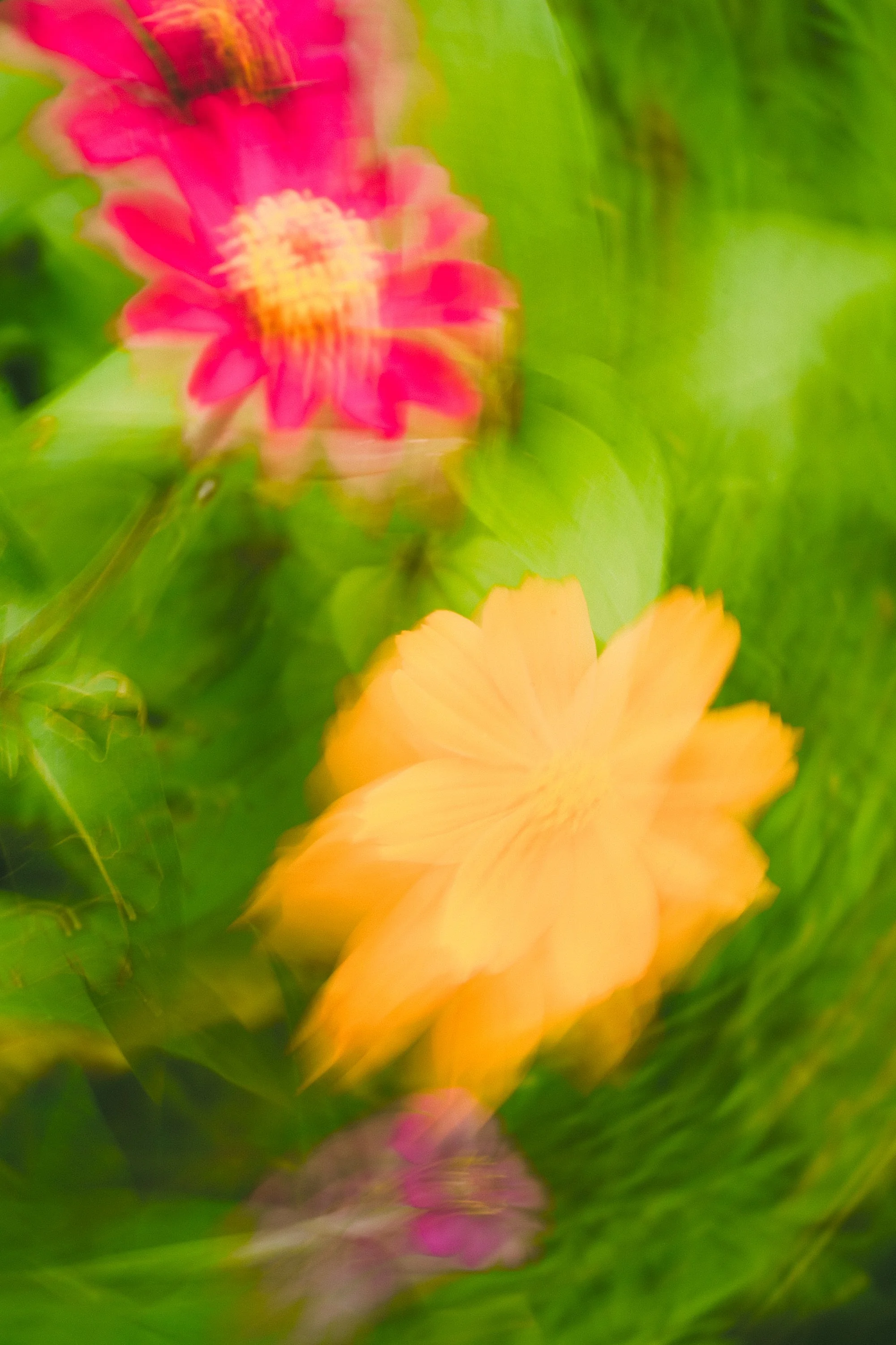 Pedesaan-123 (1).jpg