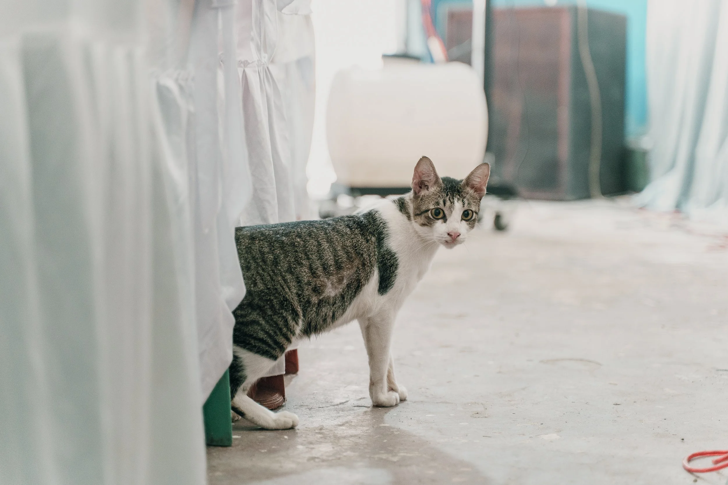 Arief & Ratna-56.jpg