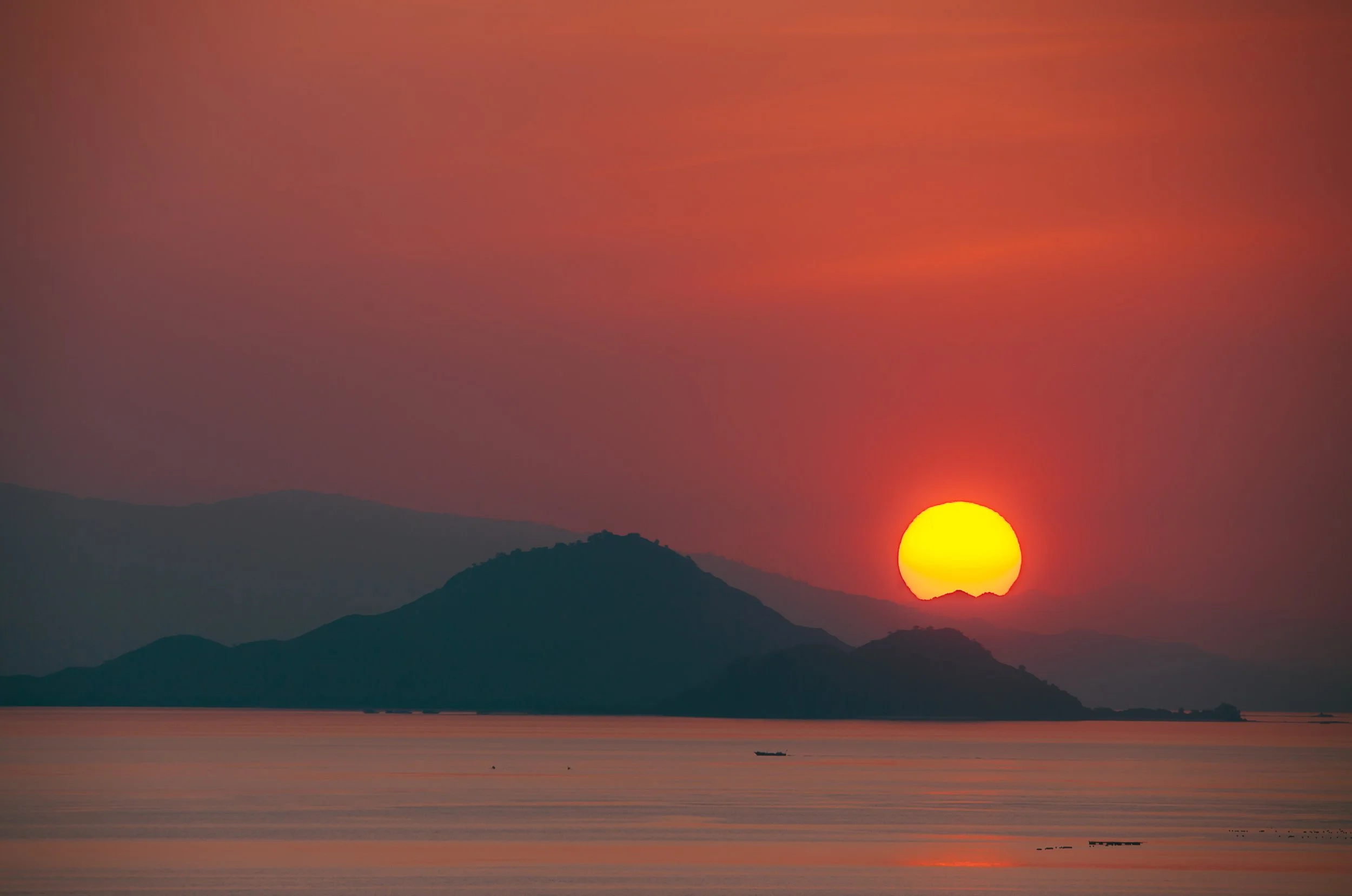 Postcard Flores-7.jpg