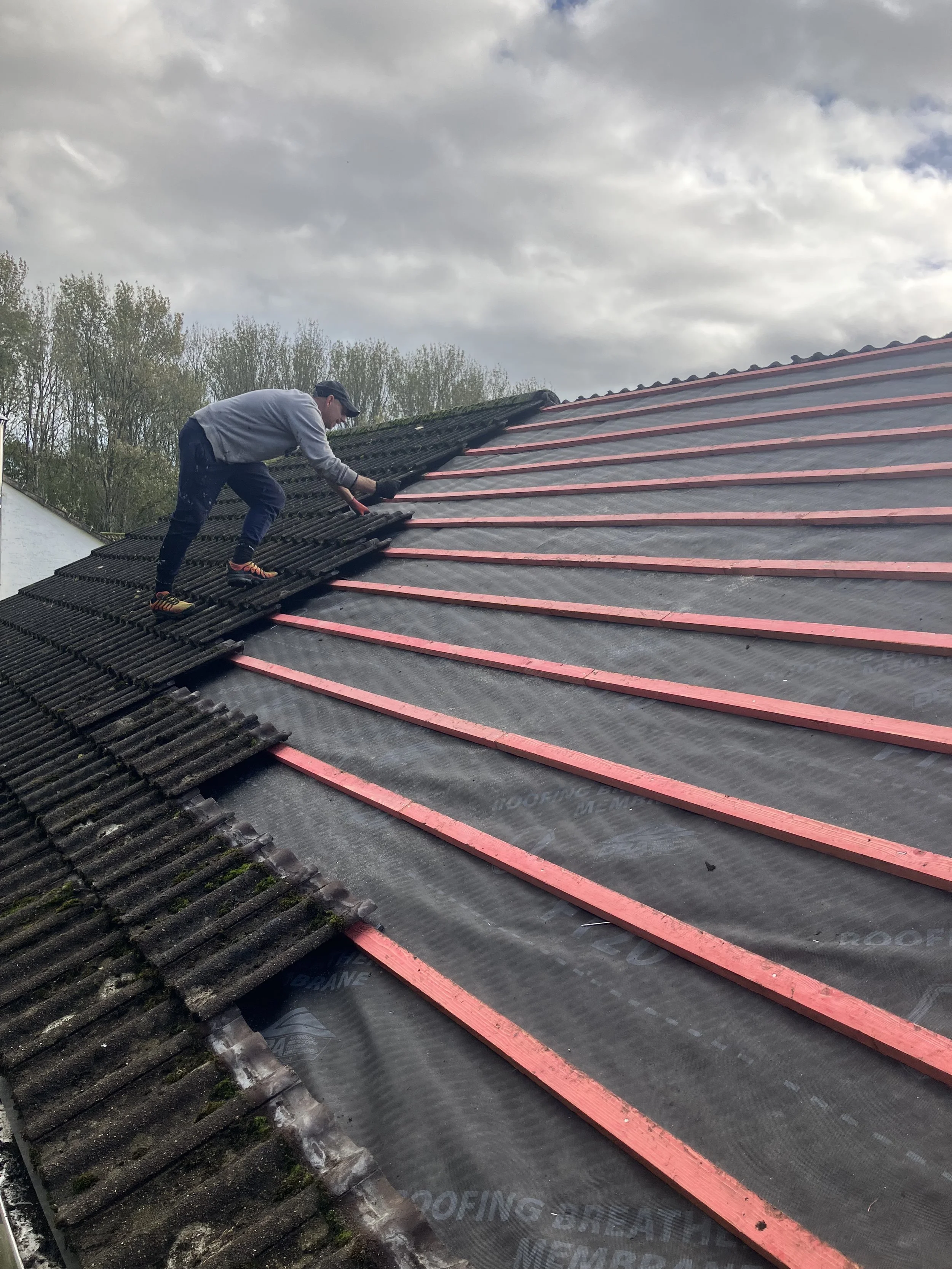 Forest Roof Repairs