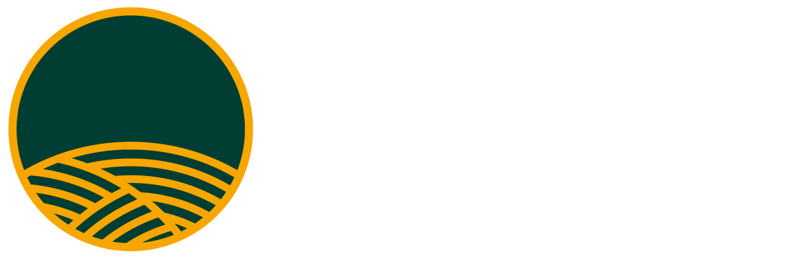 Dr. Matthias Nachtmann