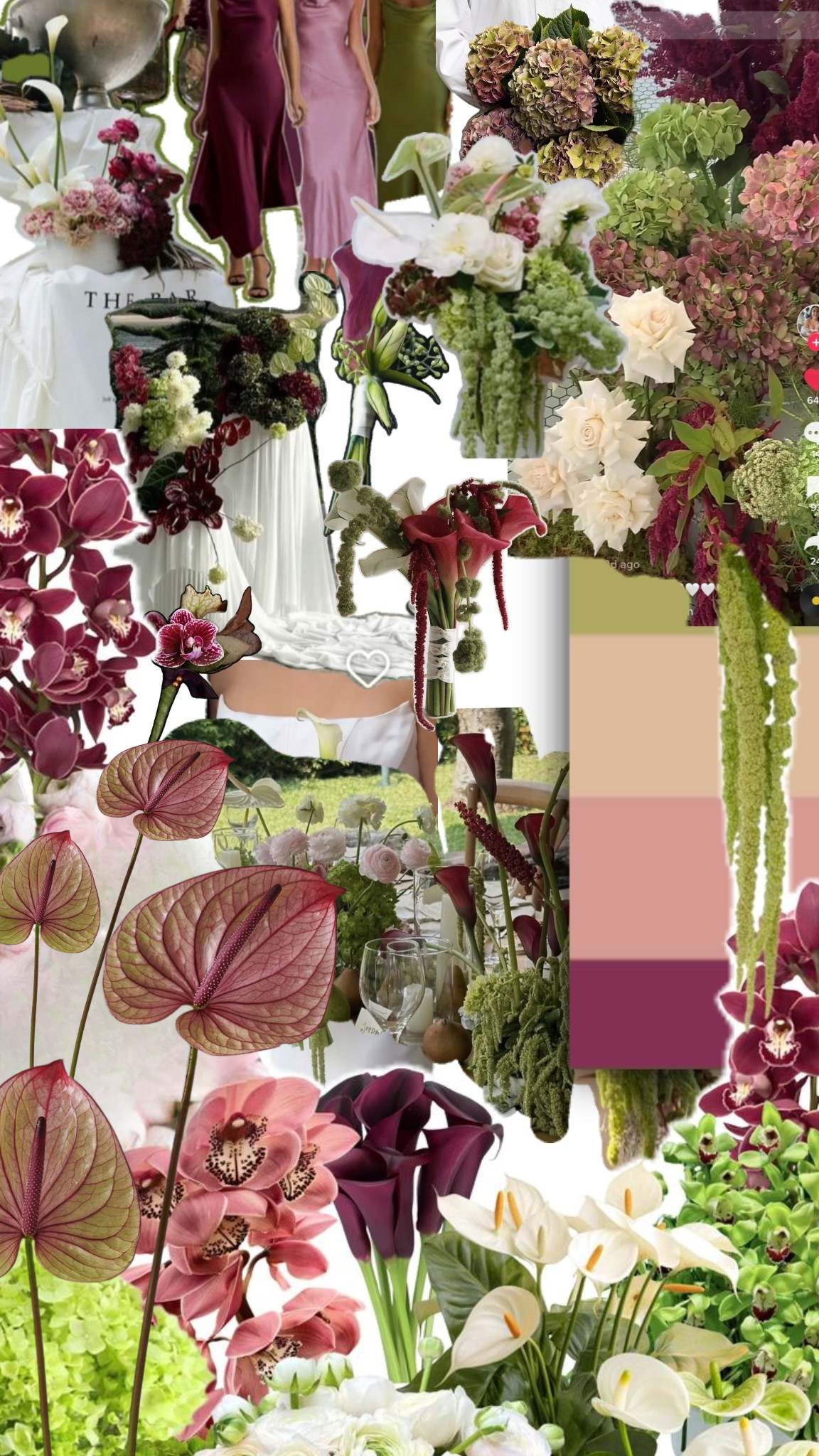 Untitled design (5).png