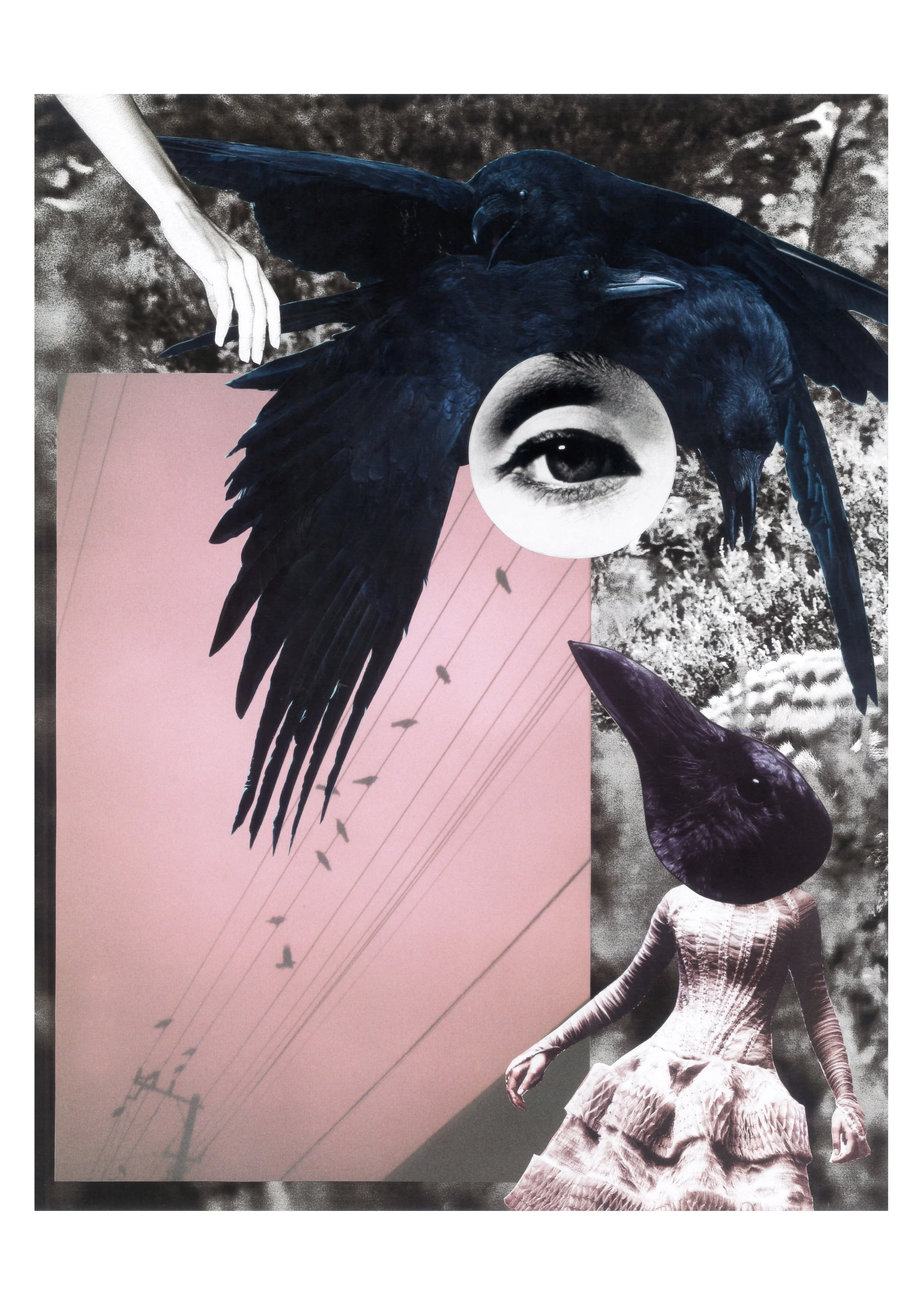 Collage featuring ravens, a human figure with a bird head, a close-up eye, a pink triangle, and a black-and-white background with power lines and clouds.
