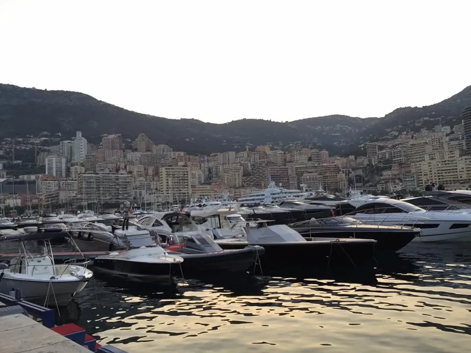 A marina filled with numerous boats and yachts docked in the water, with city buildings and hills in the background during the daytime.