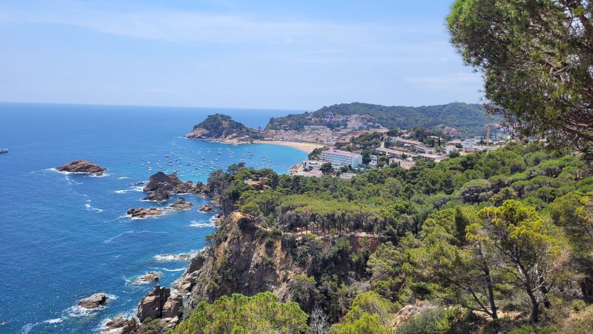 Coastal landscape with cliffs, dense green trees, a sandy beach, and a harbor filled with boats, with city buildings on a hillside in the background.