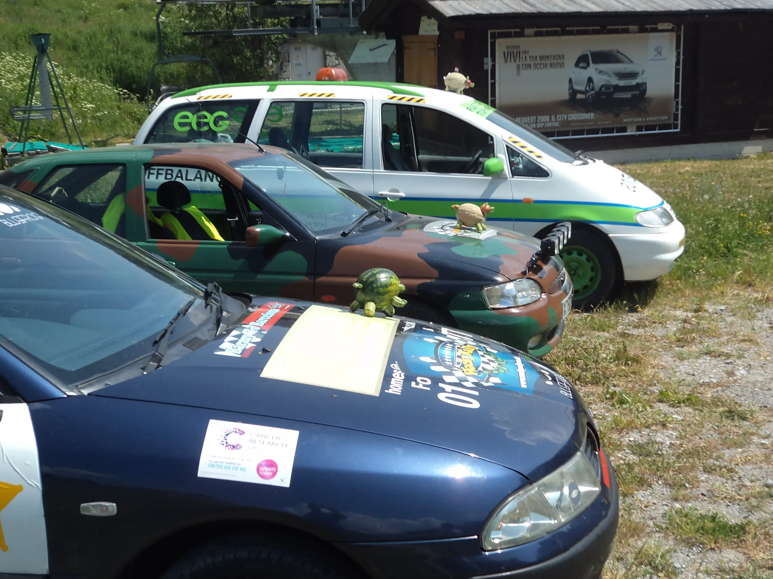 Three race cars parked on a grassy area with mascot plush toys on their hoods. The cars are a black and white car in the front, a camouflaged car in the middle, and a white car in the back. There is a billboard in the background with a white vehicle 