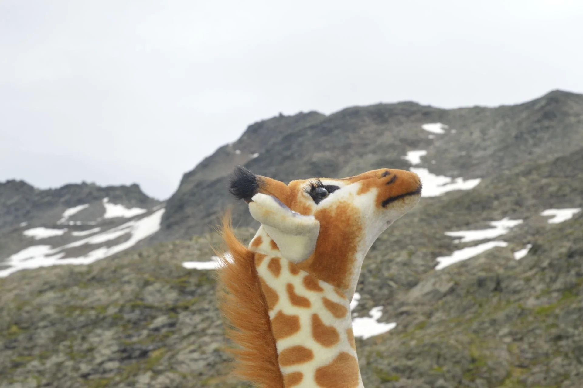 A plush giraffe toy with a long neck and patterned brown spots stands outdoors on a rocky, mountainous landscape with patches of snow and overcast sky.