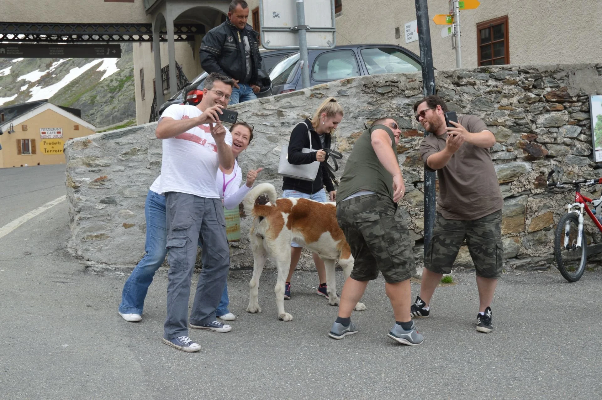 Group of six people taking a photo with a dog in front of a stone wall on a city street, with parked cars and mountains in the background.