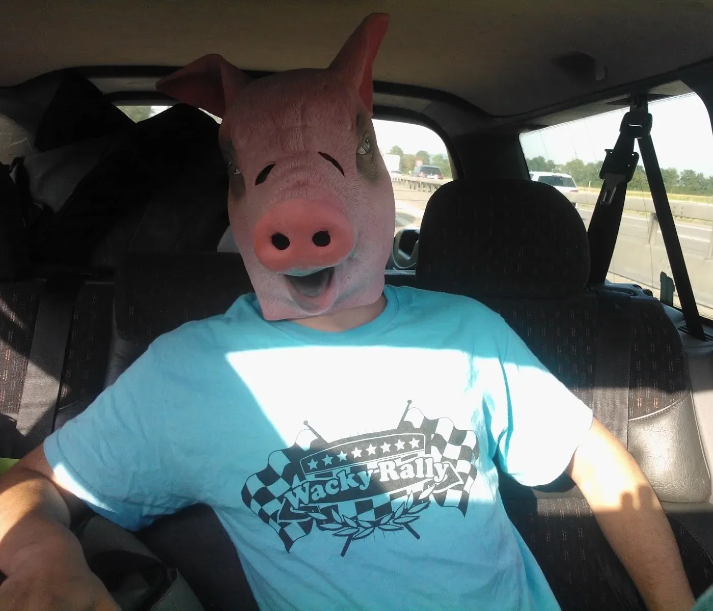 Person wearing a pig mask, sitting in the backseat of a car on the highway, wearing a light blue T-shirt with a racing-themed design.