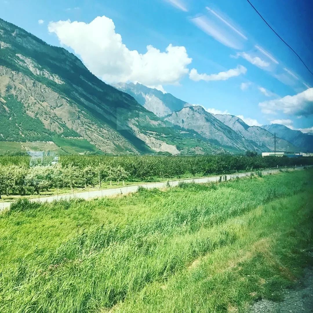 Scenic view of lush green fields, trees, and mountains under a bright blue sky with white clouds, taken from a moving vehicle.