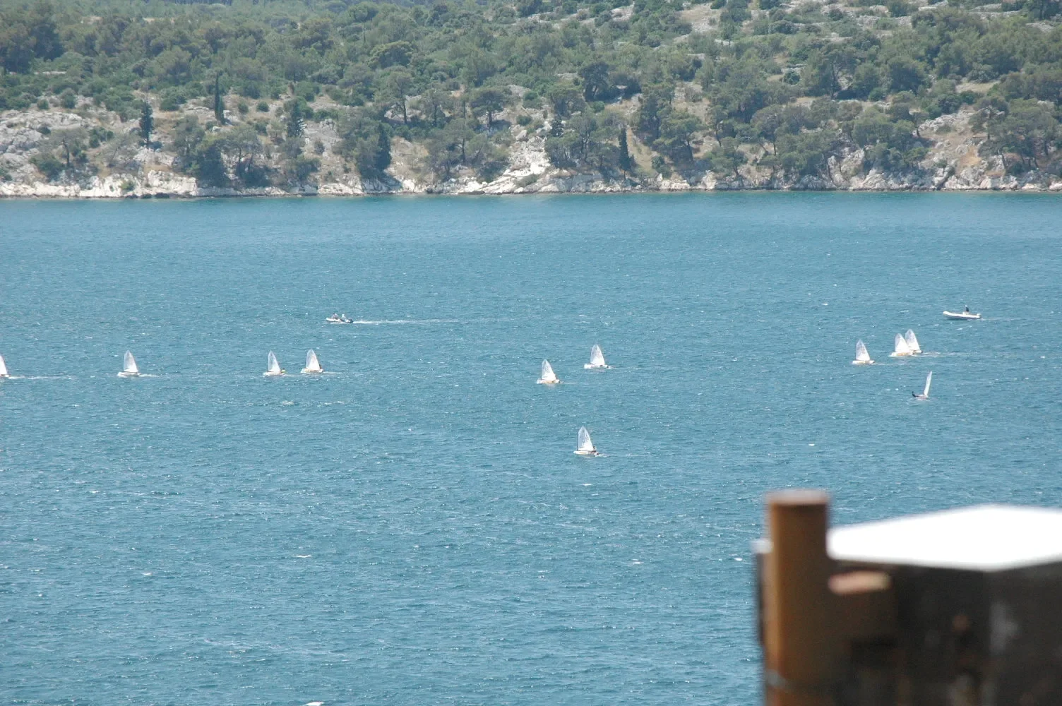 A body of water with several sailboats and two motorboats, with a tree-covered hillside in the background.