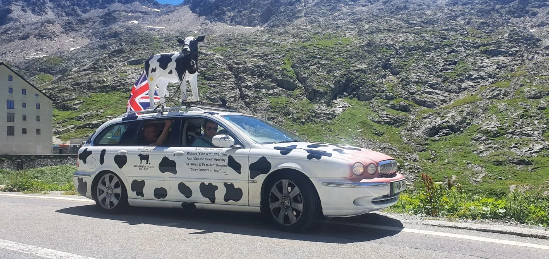 A car with a cow-patterned paint job and a cow figure on the roof, driving on a mountain road with green hills and rocky terrain in the background.