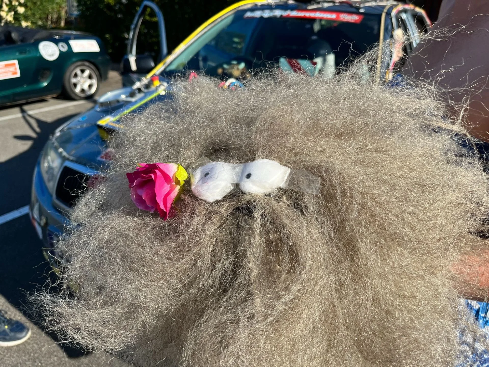 Close-up of a person with long, curly gray hair styled with a pink rose and white bunny-shaped accessories attached in a parking lot with multiple parked cars in the background.