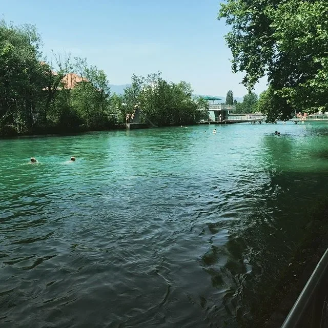 People swimming in a lake with trees and a bridge in the background on a sunny day.