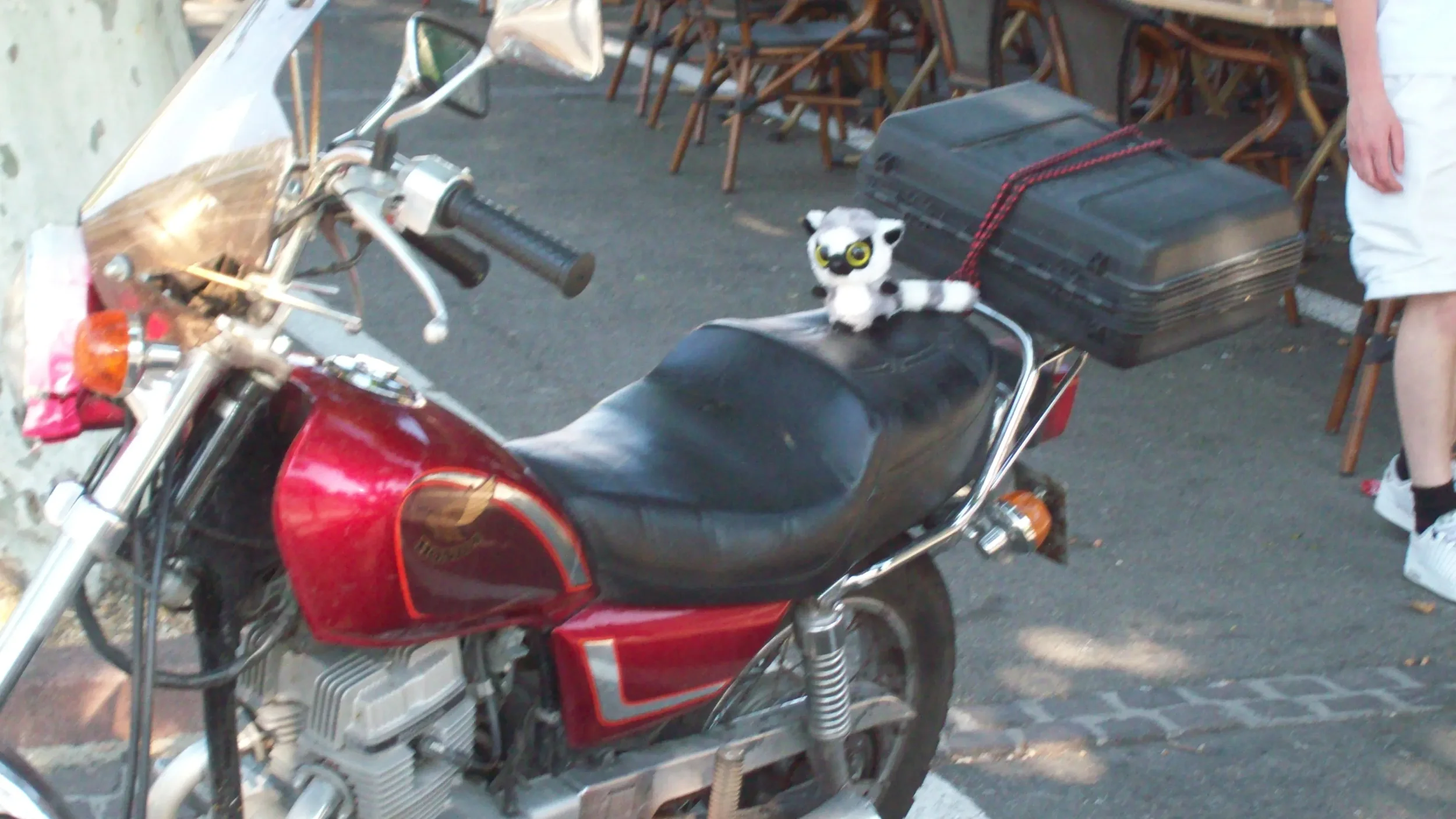 A red motorcycle parked on the street with a black seat, a large black storage box on the back secured with a red strap, and a small stuffed panda toy sitting on the seat. Part of a person's leg wearing shorts and white sneakers is visible on the rig