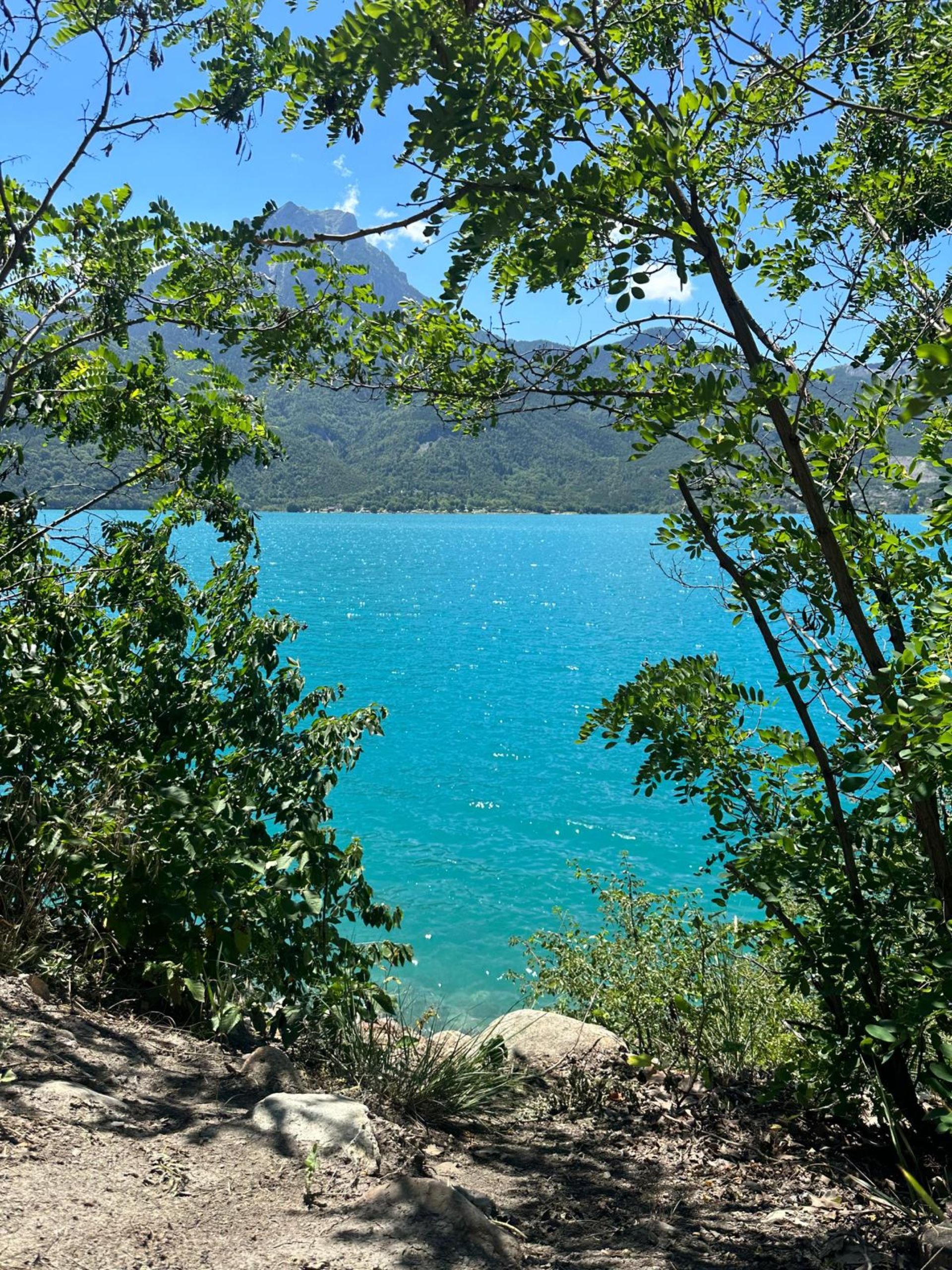 View of a turquoise lake surrounded by green trees and mountains in the background under a blue sky.