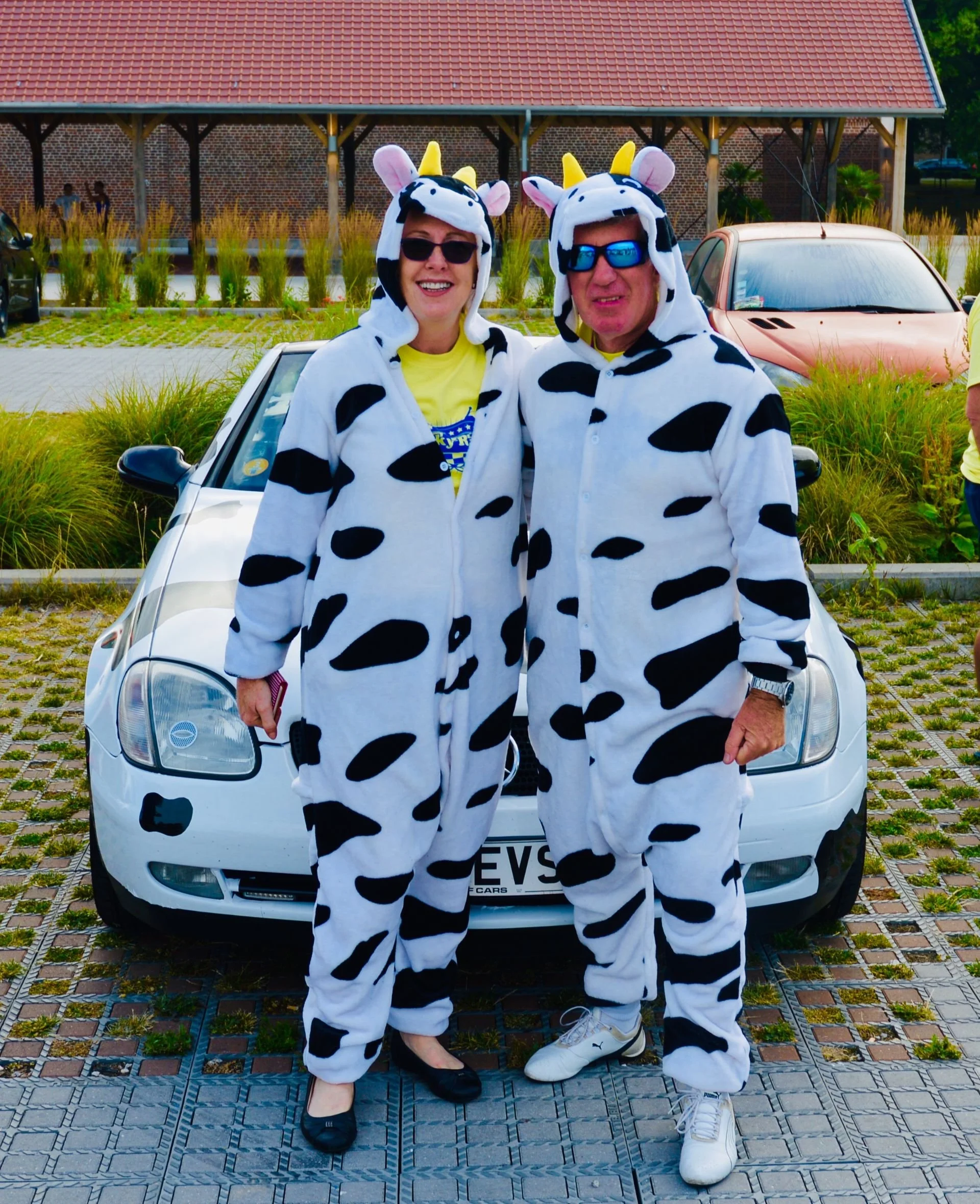 A man and woman standing in front of a car, both dressed in cow costumes with black and white spots, cow ears, and horns.