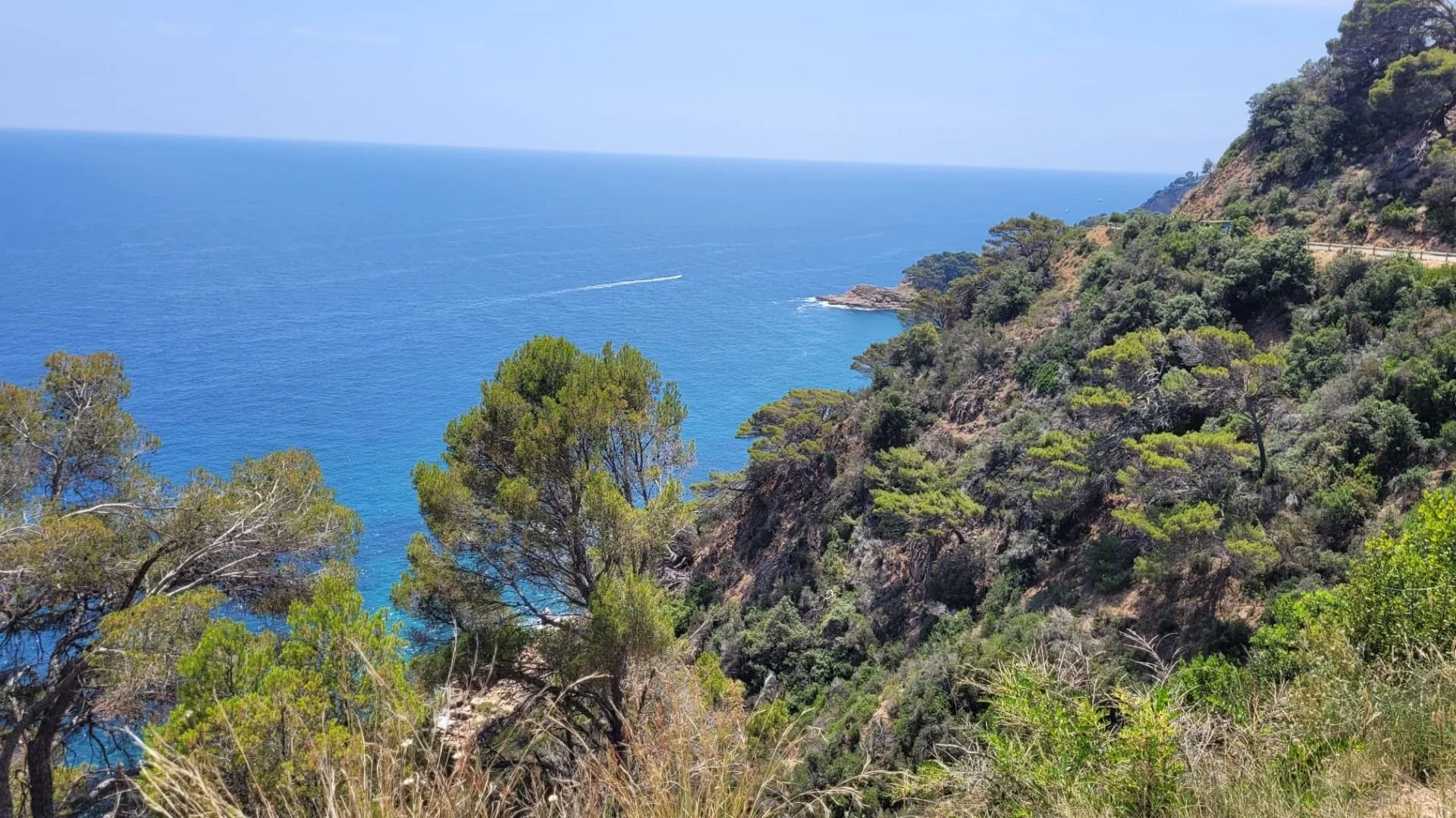 View of a rugged coastline with green trees and bushes on steep cliffs overlooking the blue ocean, with a boat leaving a wake in the water.