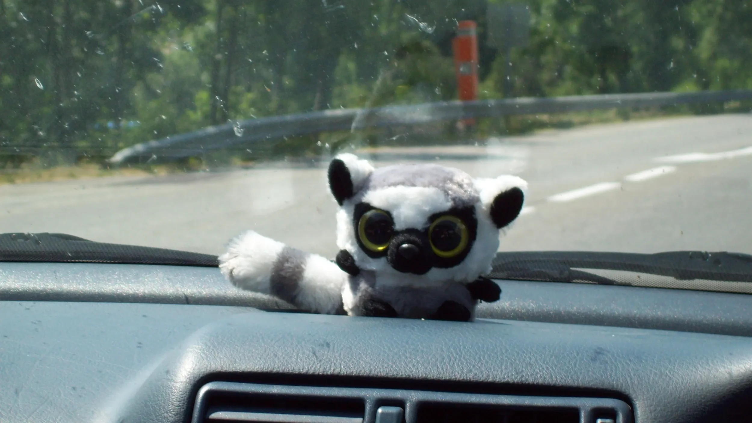 A plush lemur toy with large yellow eyes and black and white fur lying on a car dashboard, with a road and trees visible outside the windshield.