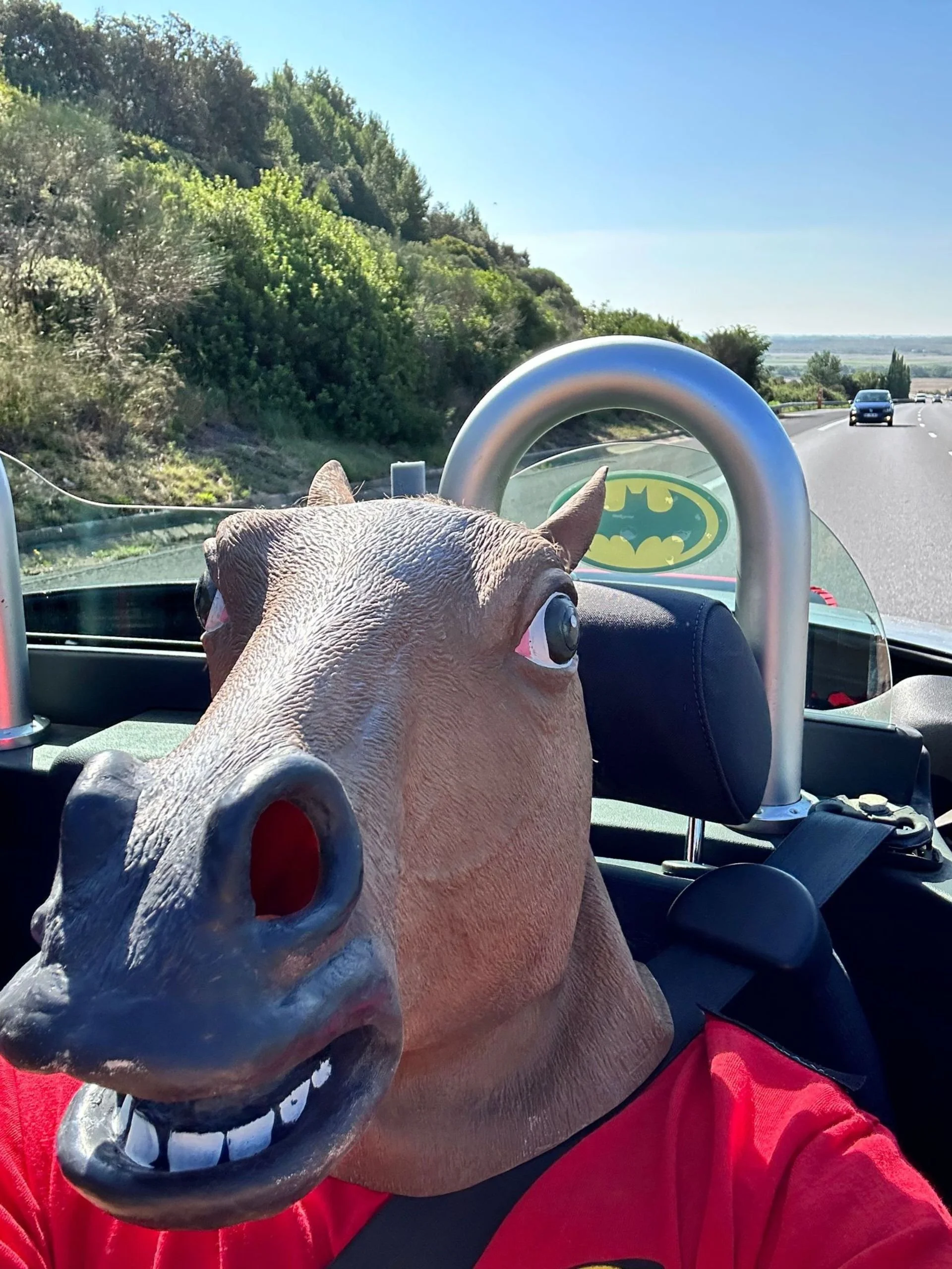 Person wearing a realistic horse mask sitting in a car on a highway, with a Batman sticker on the back windshield, greenery on the roadside, and a few cars in the distance under a clear blue sky.