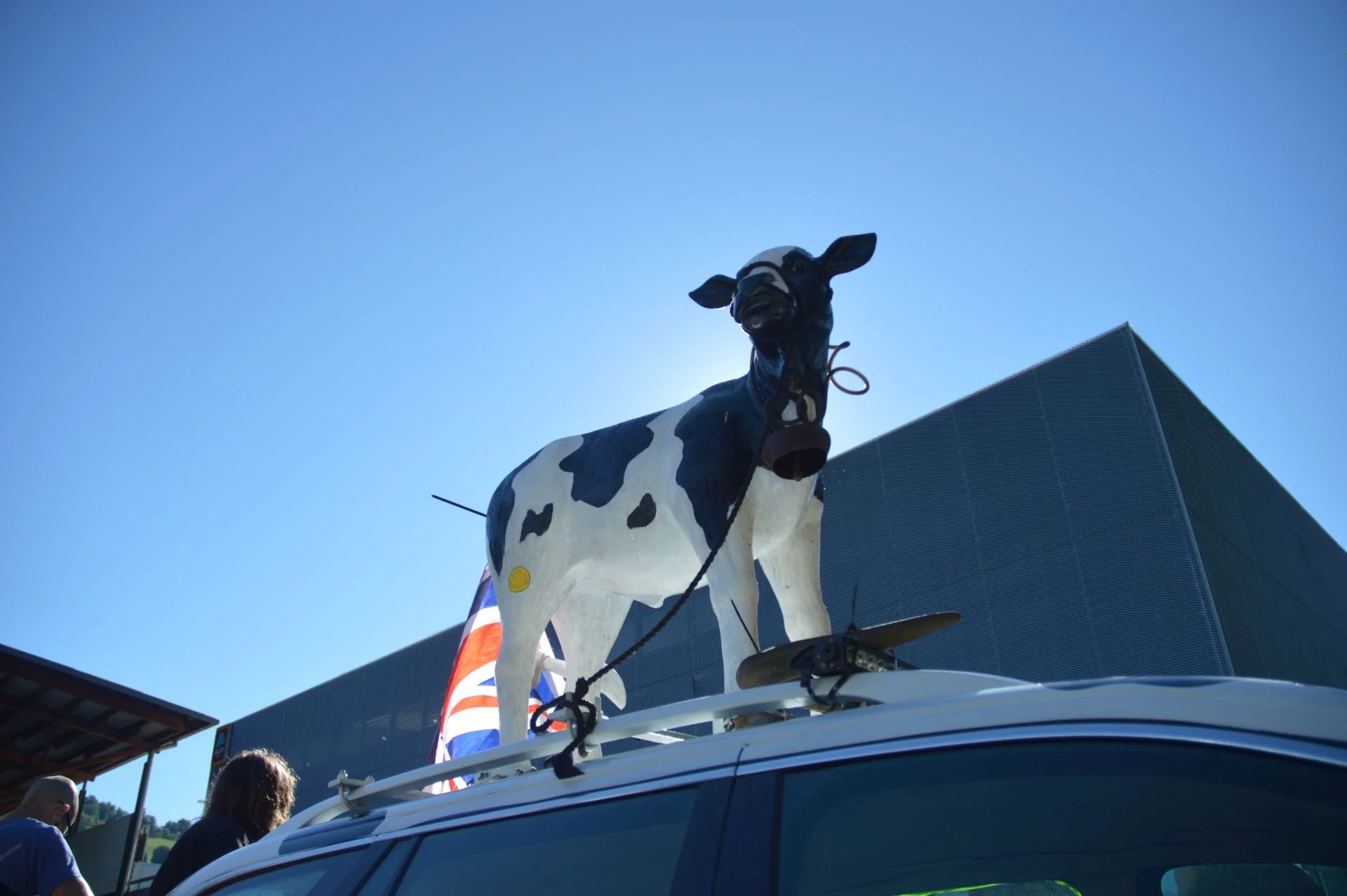 A large cow statue with black and white spots on top of a vehicle, with a blue sky in the background.