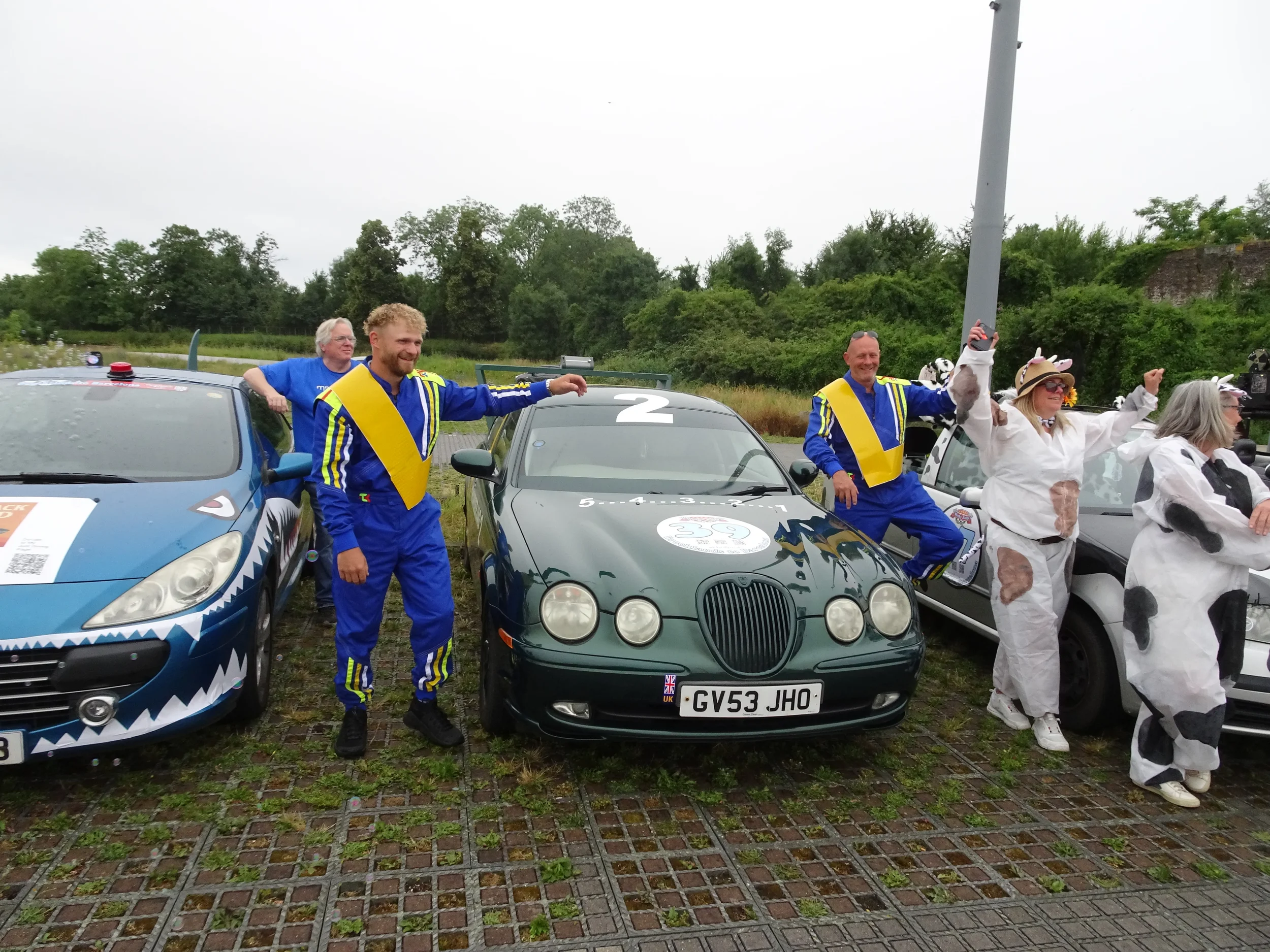 Group of people dressed in racing costumes and cow costumes celebrating next to vintage and modern cars outdoors on a cloudy day.